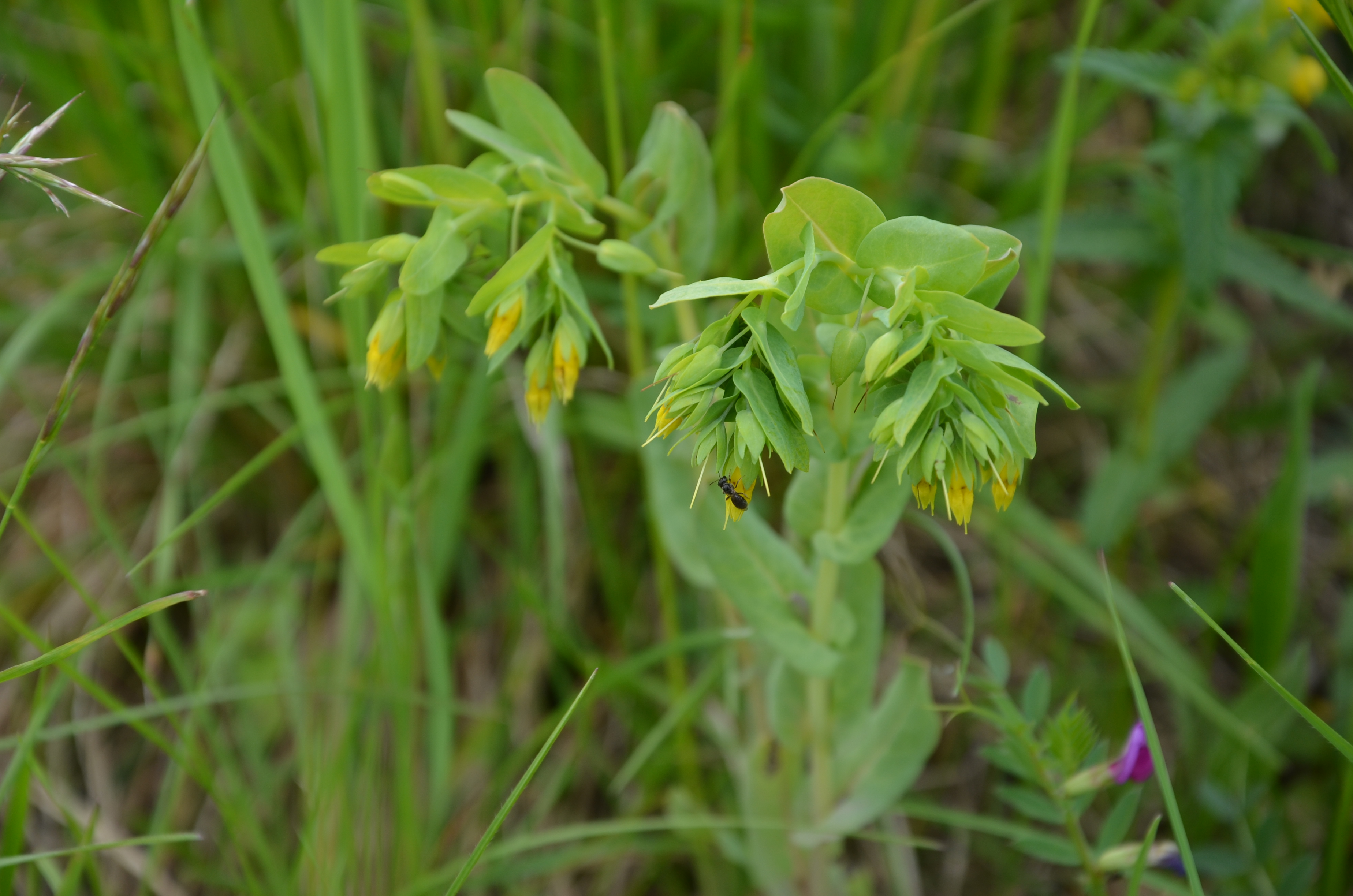 23042014185705 2347 art 1479 dsc 3590