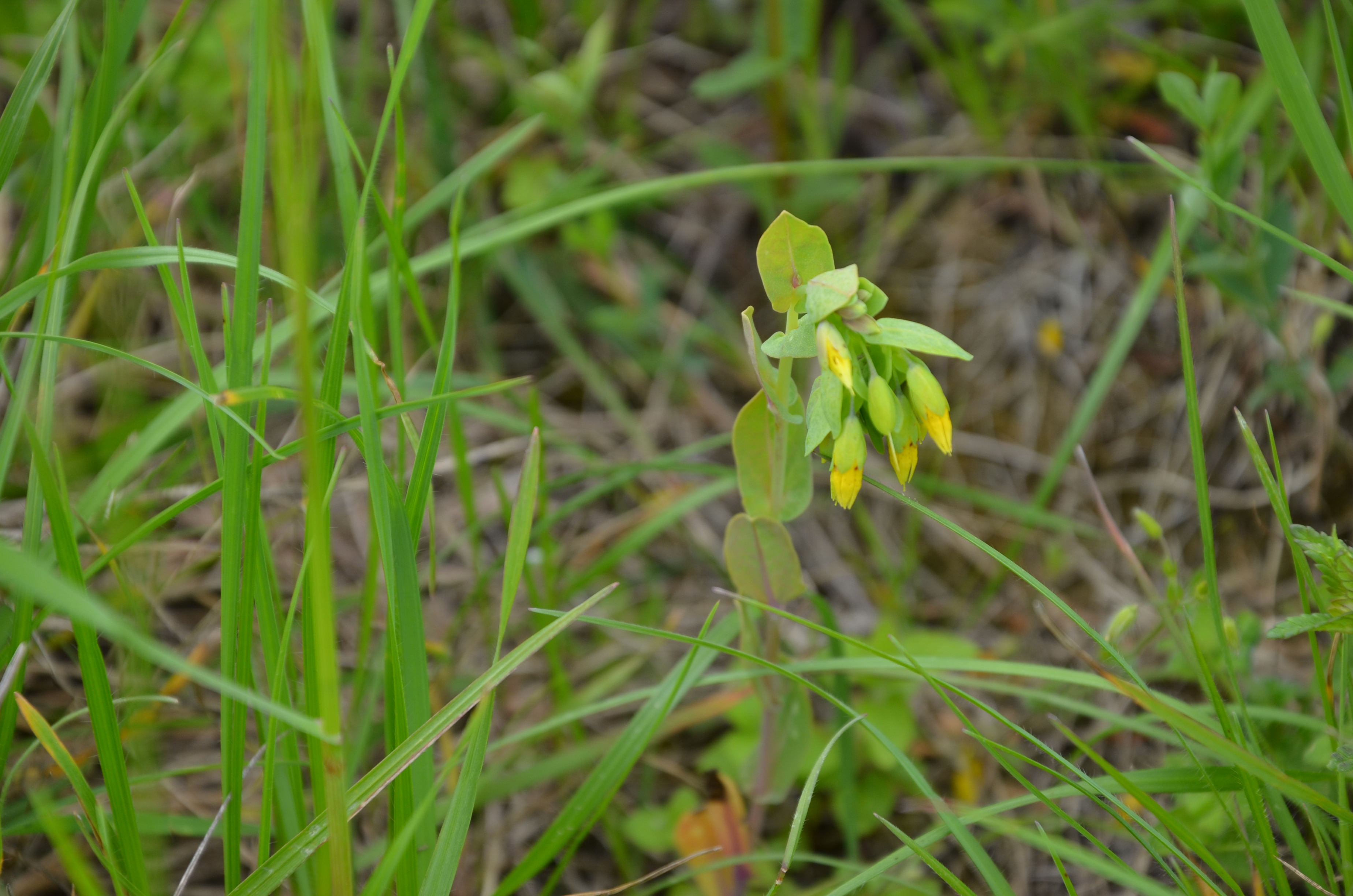 23042014185949 2348 art 1479 dsc 3591