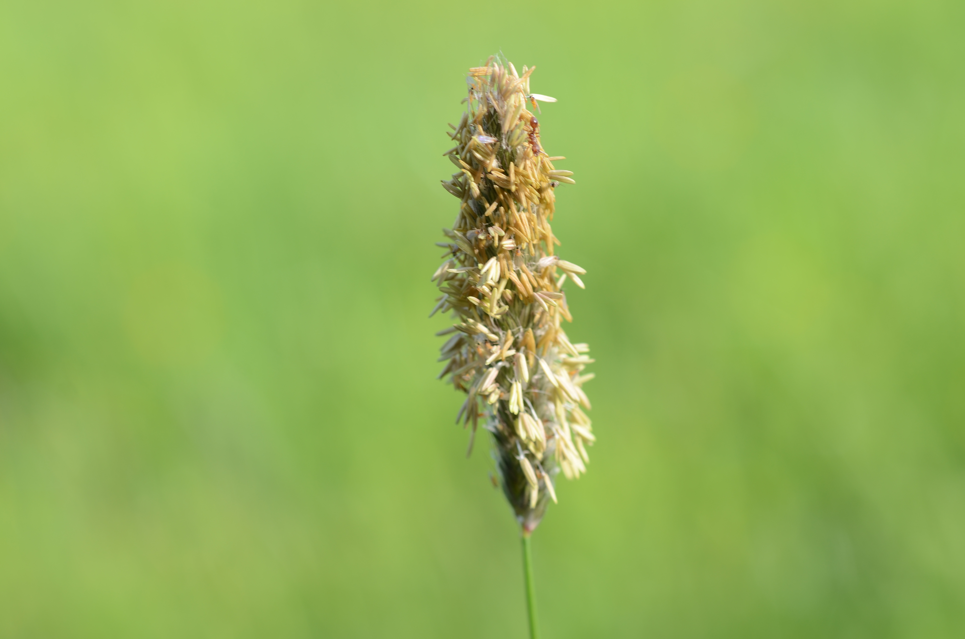 23042014191432 2350 art 322 dsc 3569