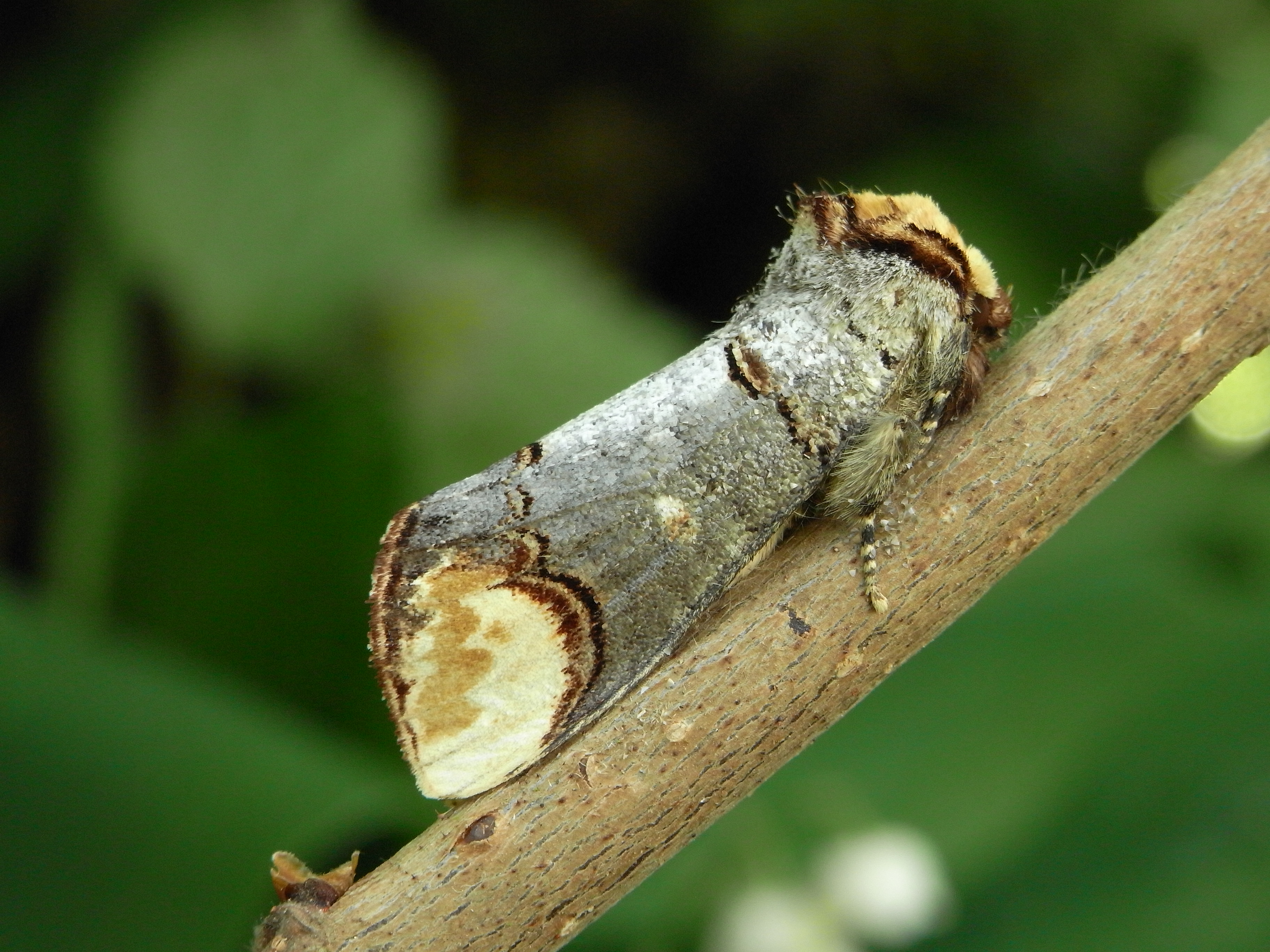 23052013120622 709 art 674 rimg0003