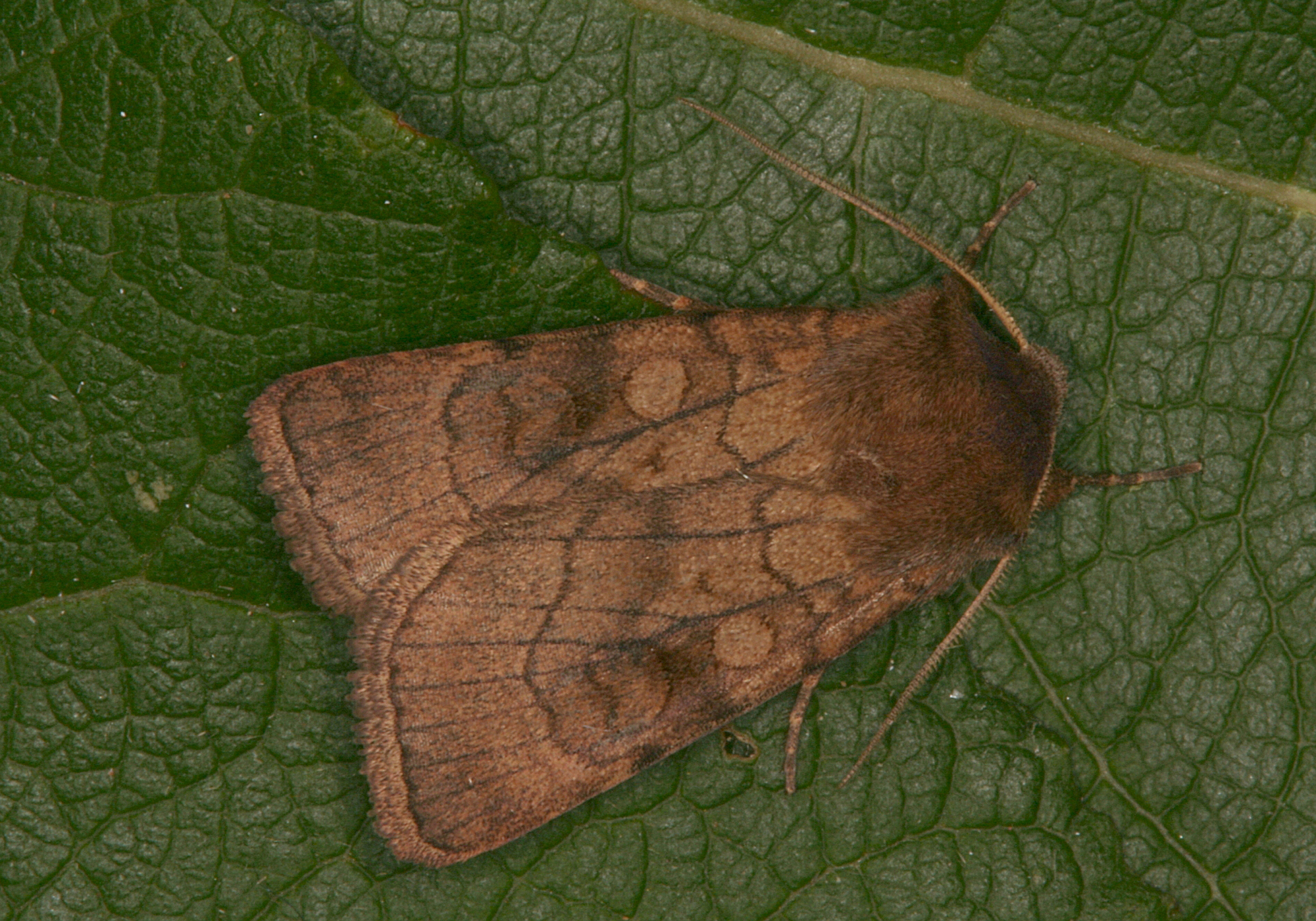 23052013182518 710 art 677 img 1085 1