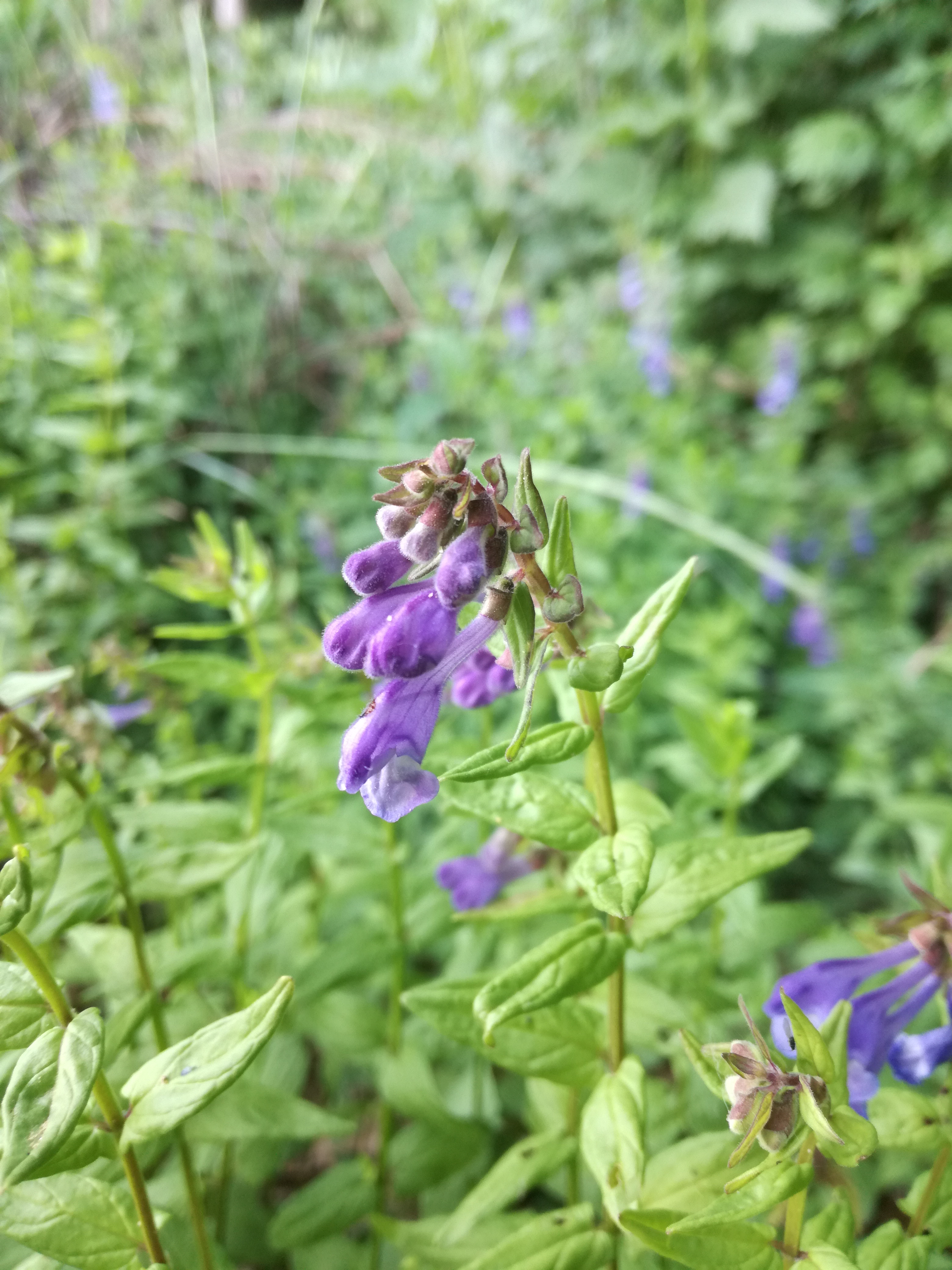 23052018201134 3671 art 2214 img 20180523 164153