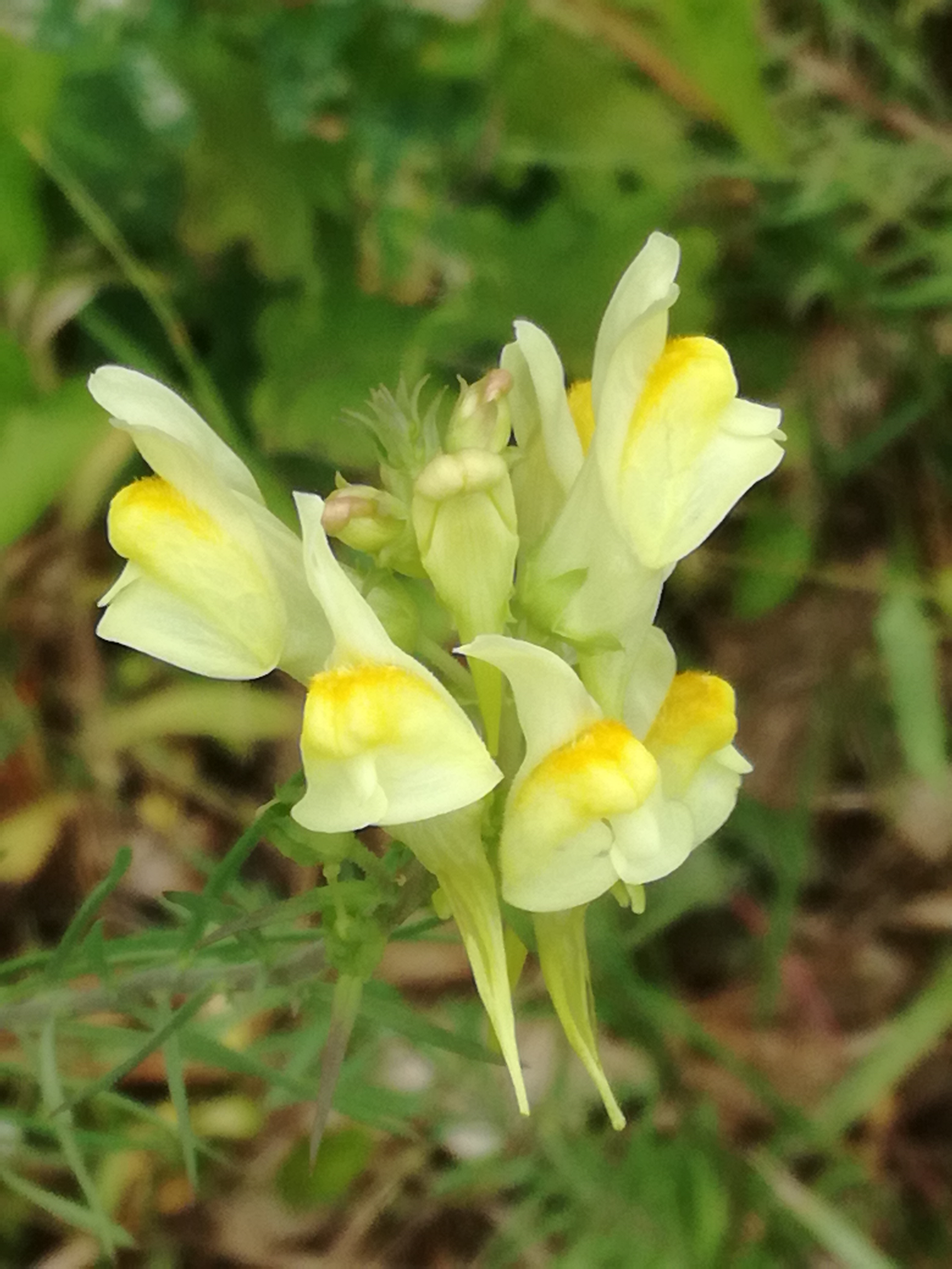 23062018231048 3759 art 2253 img 20180623 103118 2