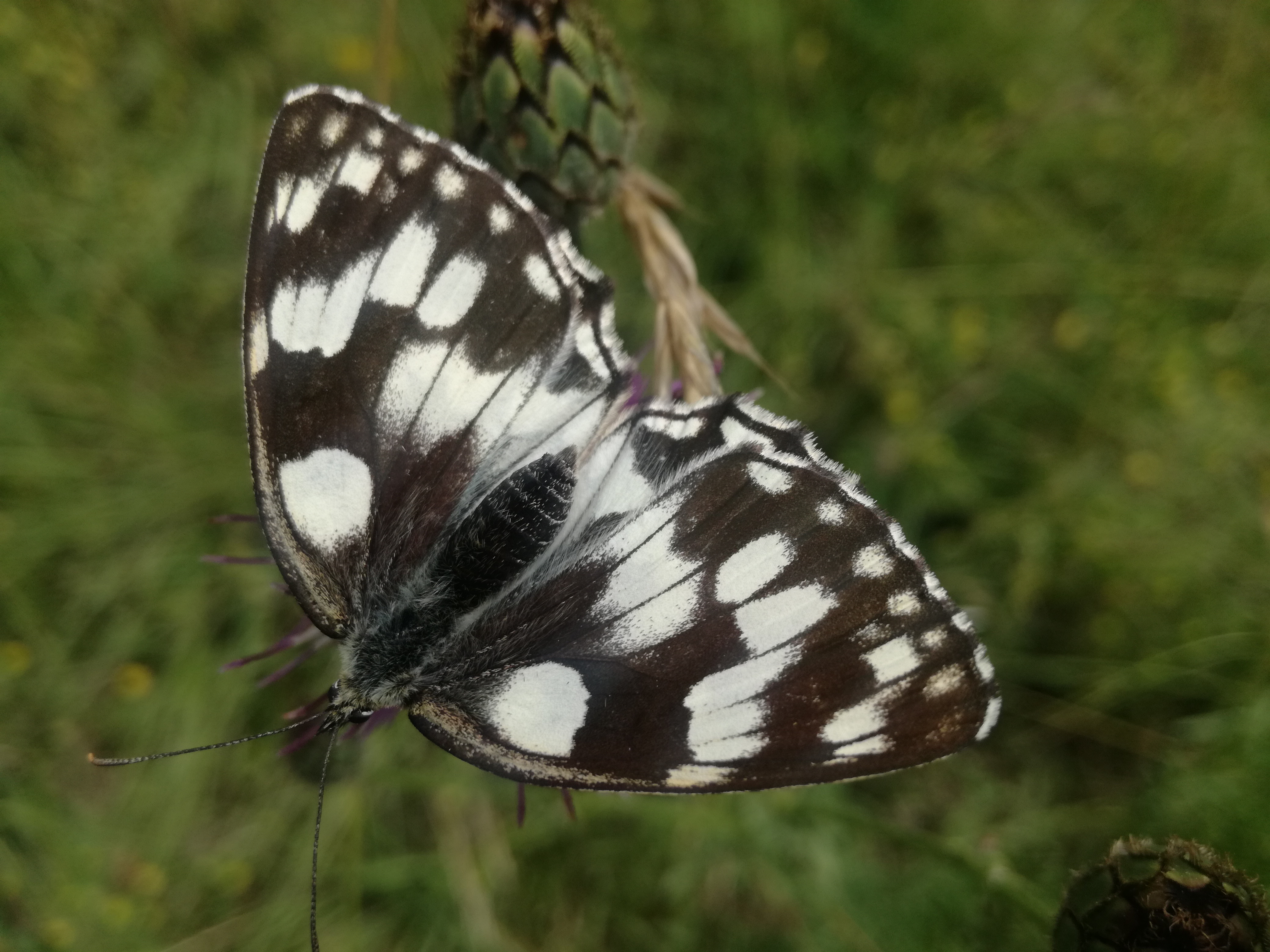 23062018233839 3762 art 1213 img 20180623 113058