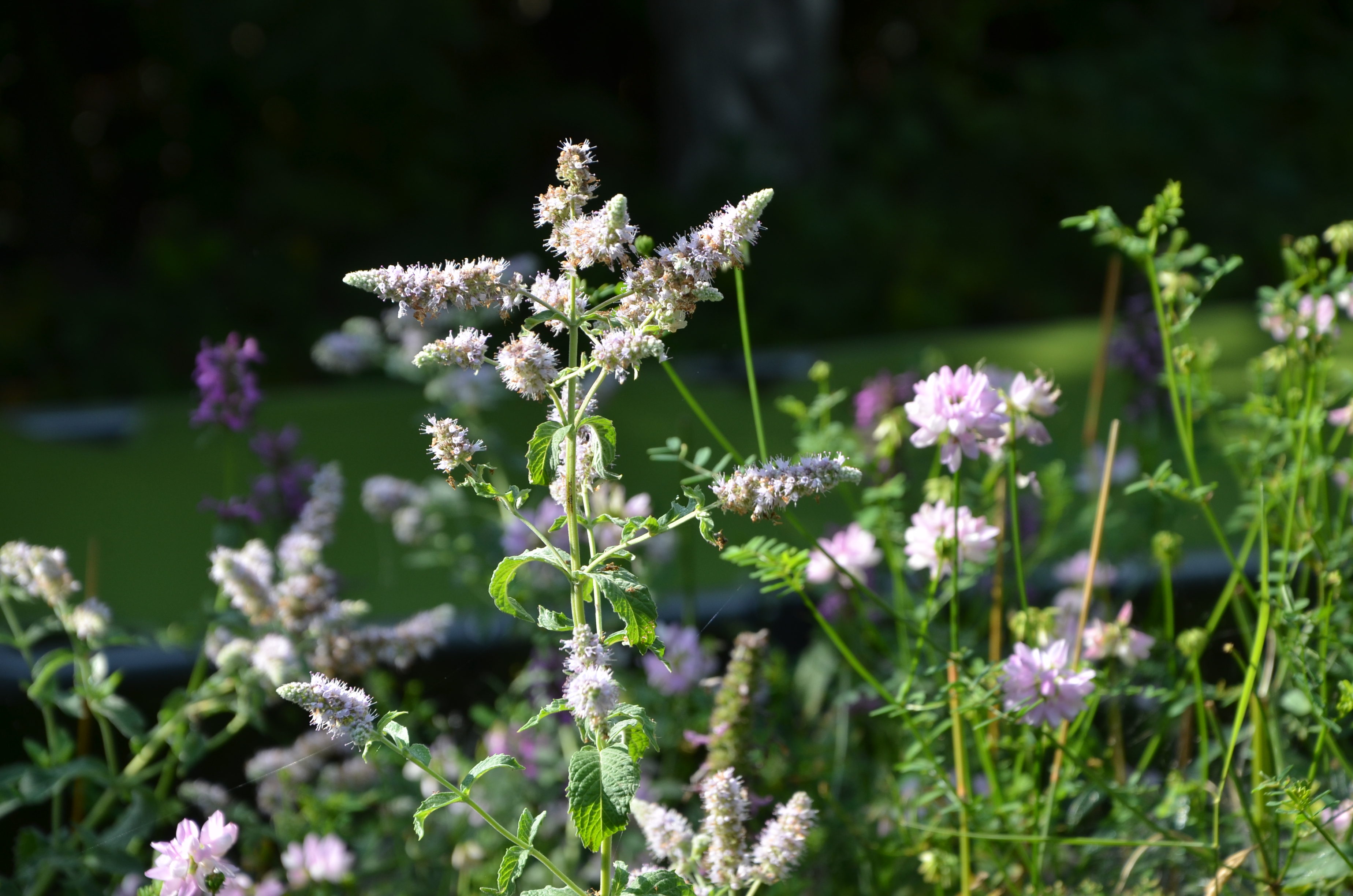 23072014201549 2560 art 1052 dsc 6728