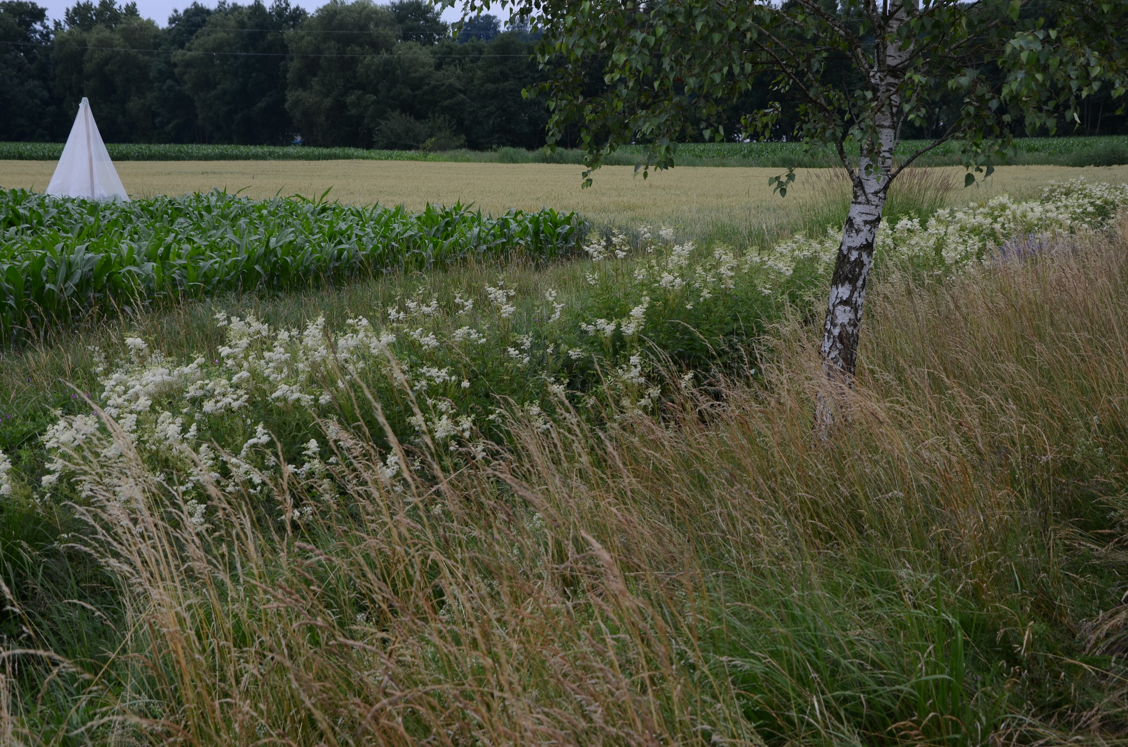 23072014203949 2563 art 1050 dsc 6032