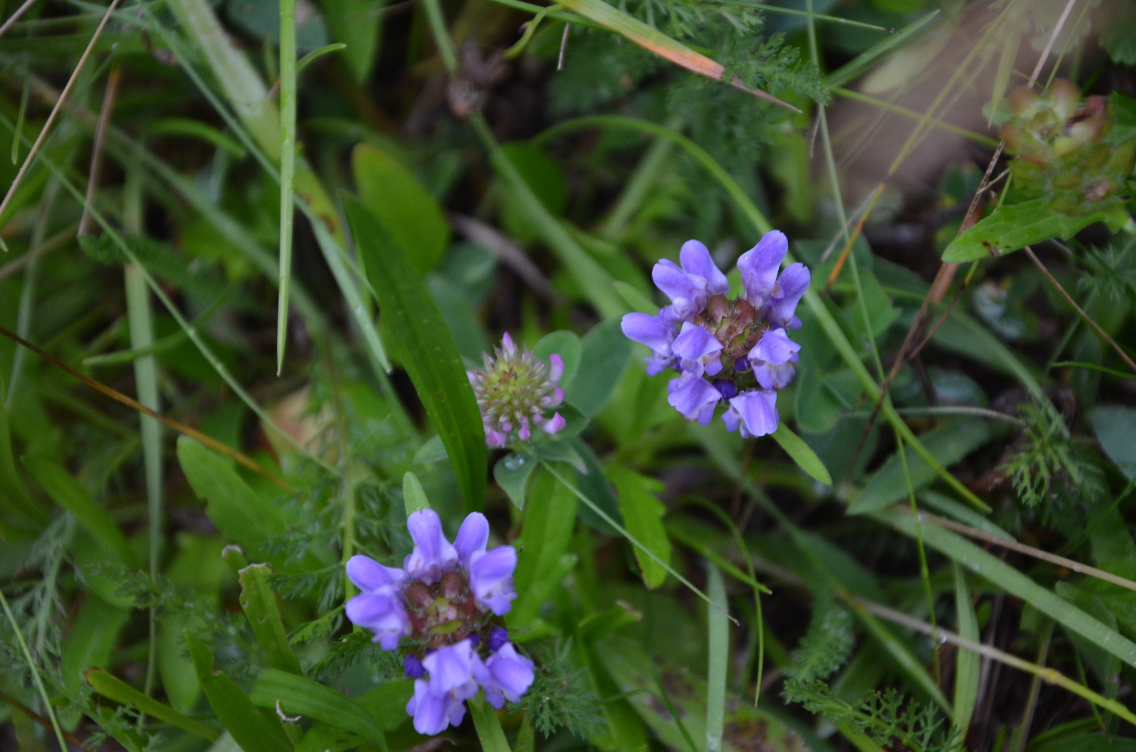 23072014210402 2565 art 1562 dsc 6053