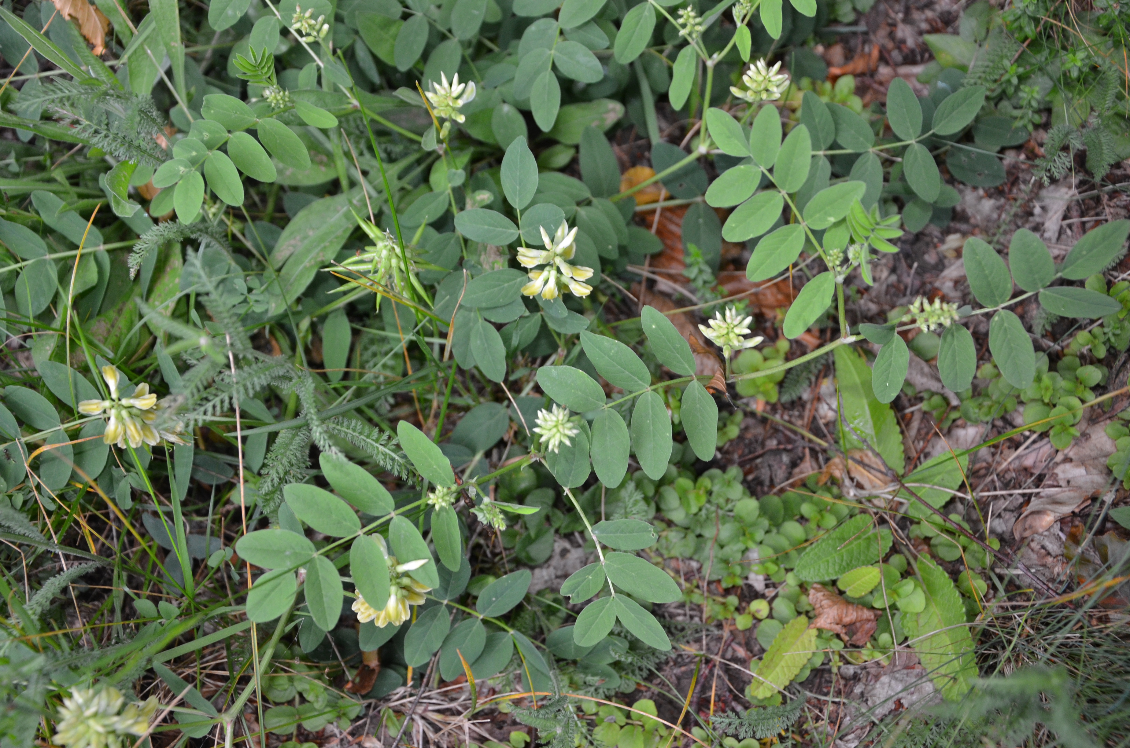 23072014220448 2570 art 1566 dsc 6061