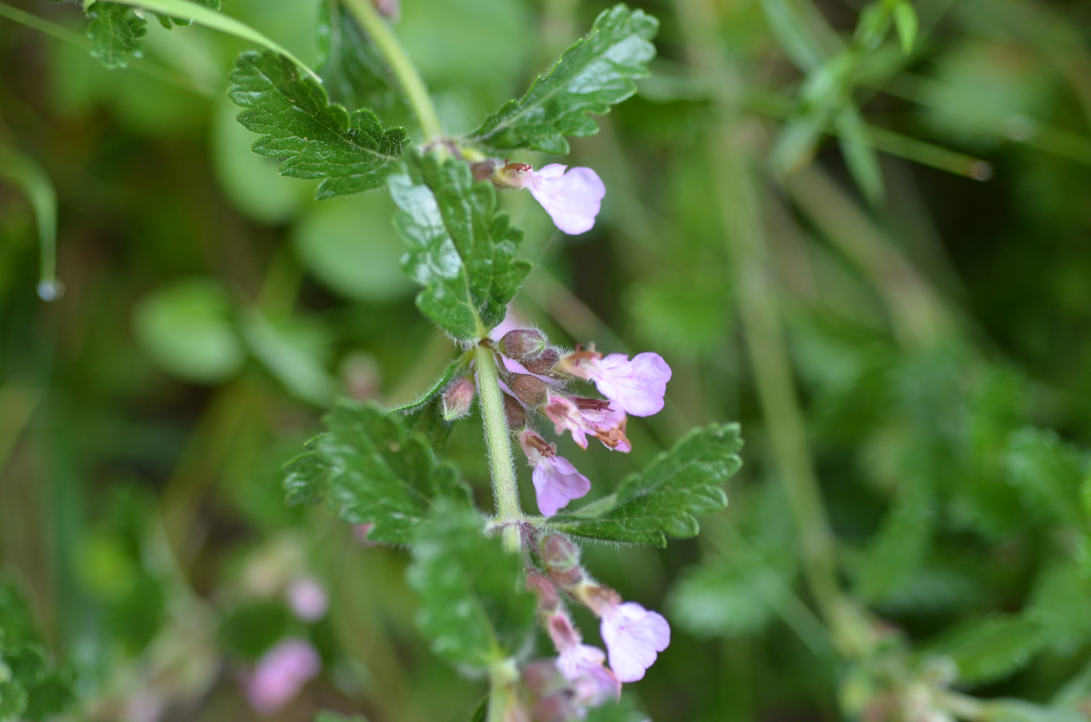 23072014222041 2572 art 1567 dsc 6134