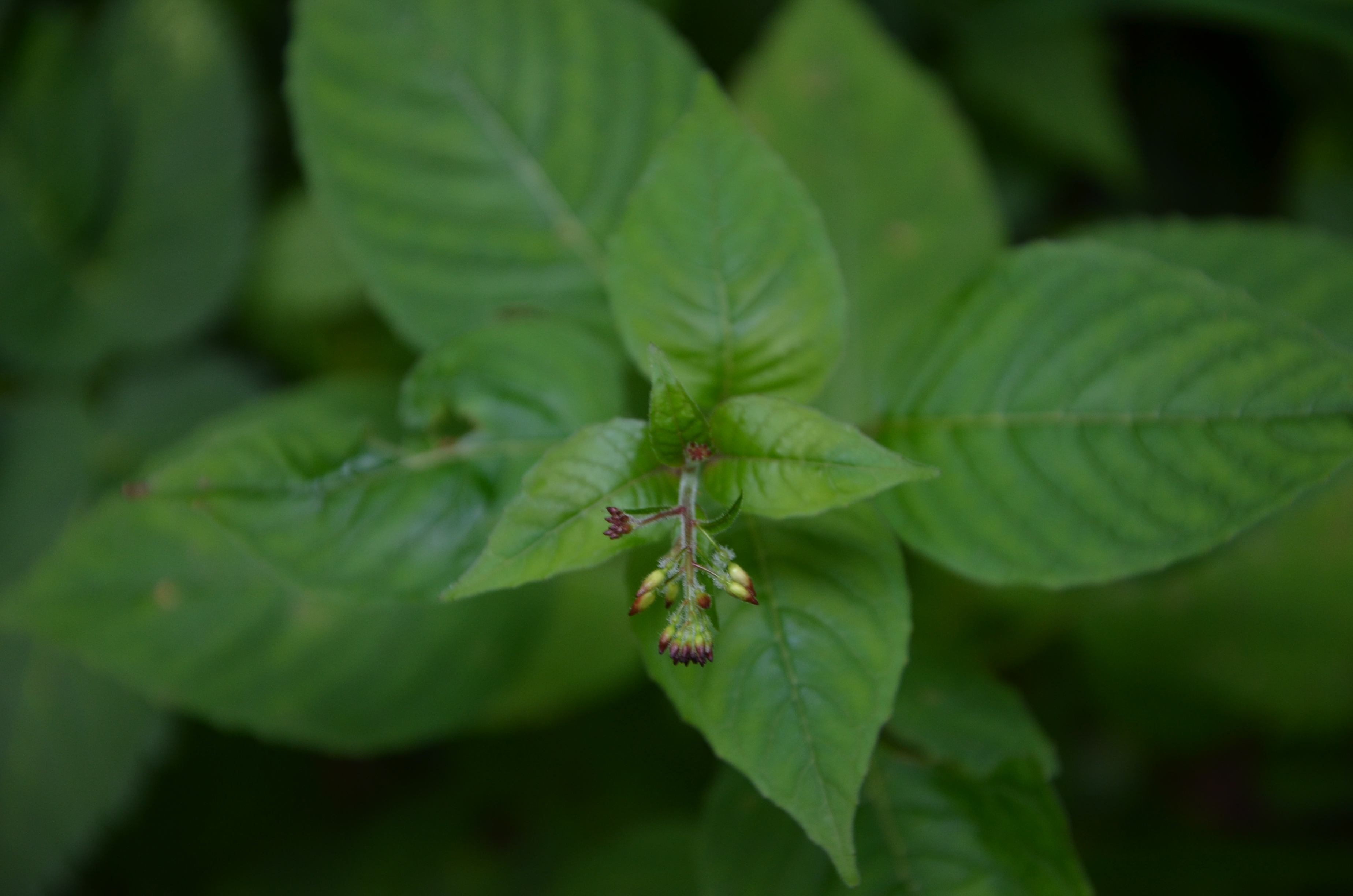 23072014223724 2578 art 1328 dsc 6192