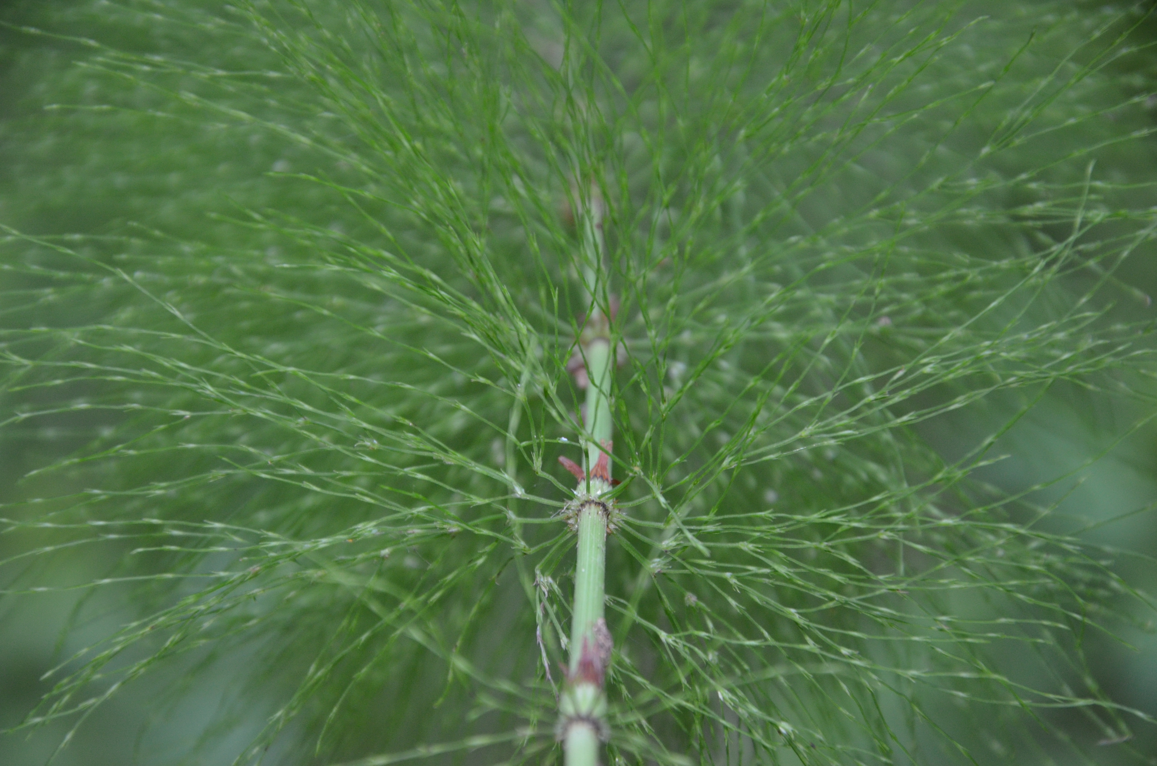 23072014231830 2581 art 1569 dsc 6222