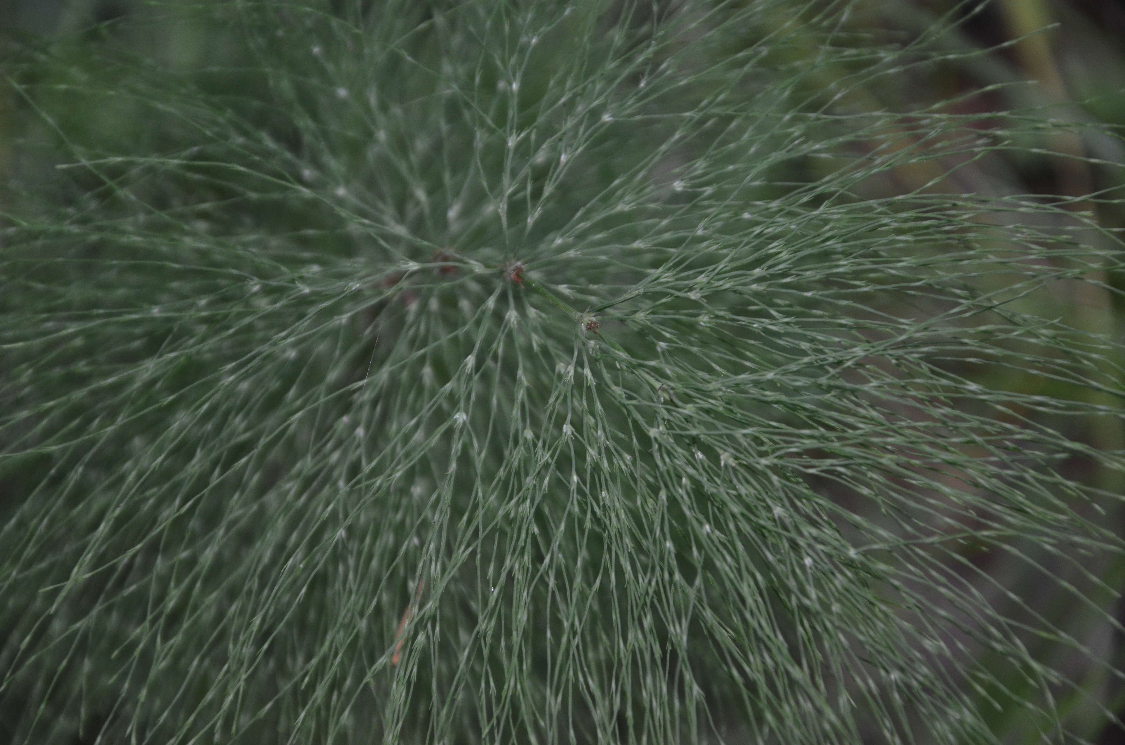 23072014232034 2582 art 1569 dsc 6219