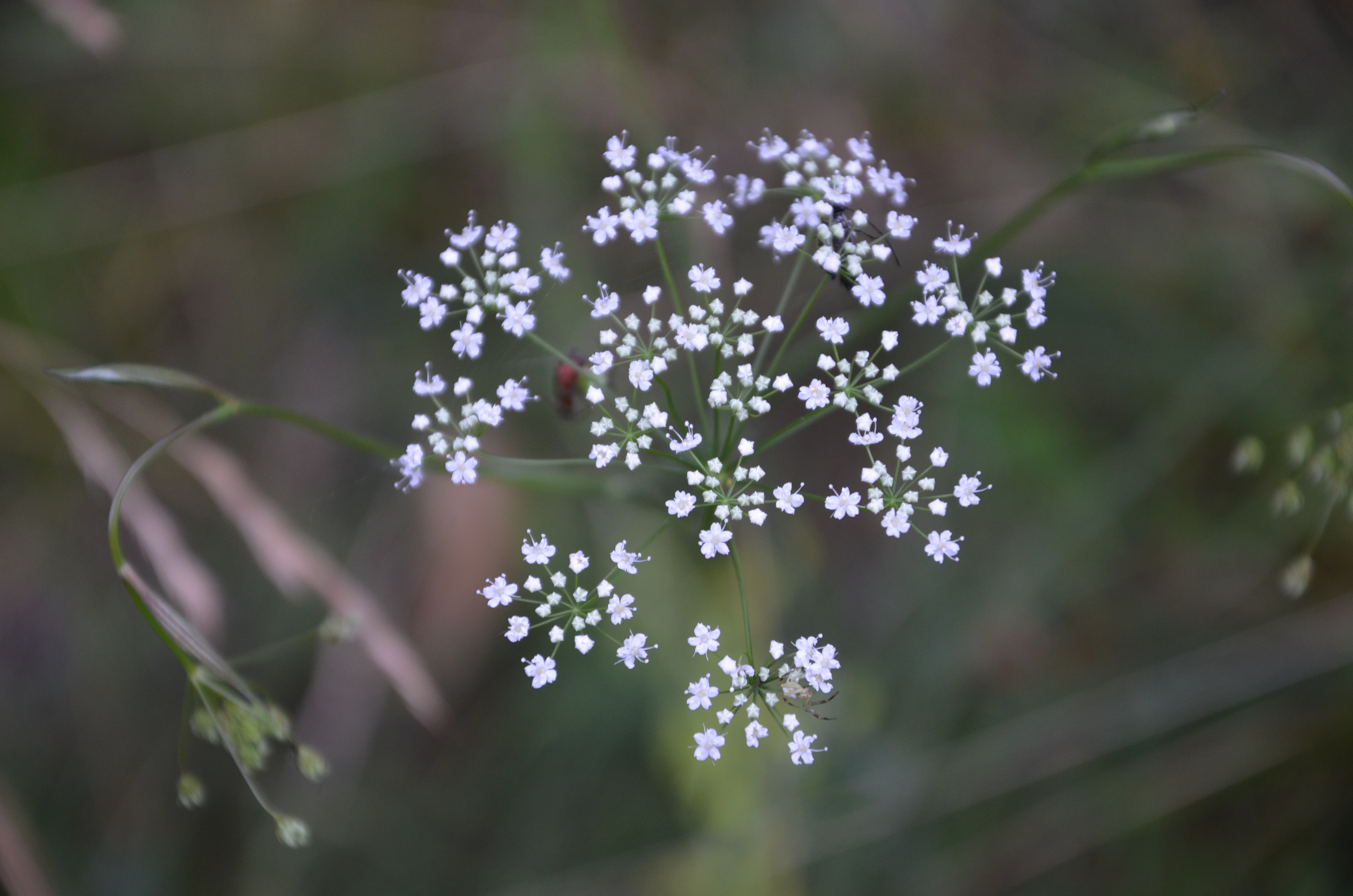 23072014233816 2584 art 1570 dsc 6066