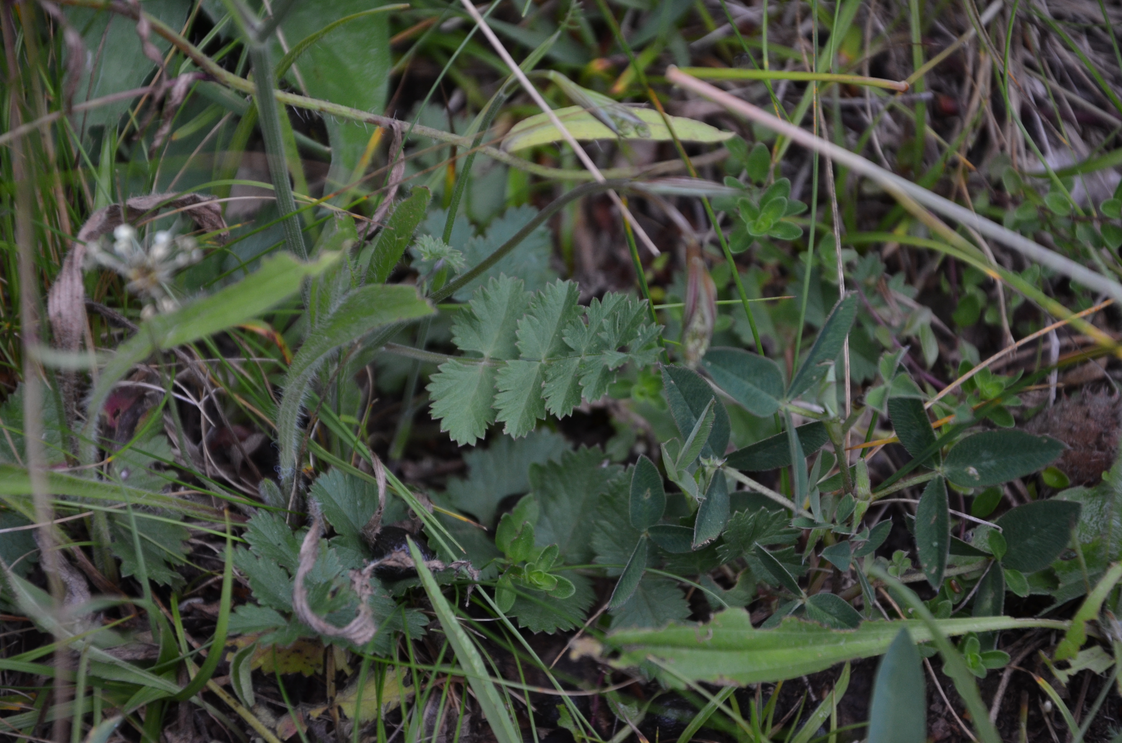 23072014234010 2585 art 1570 dsc 6059