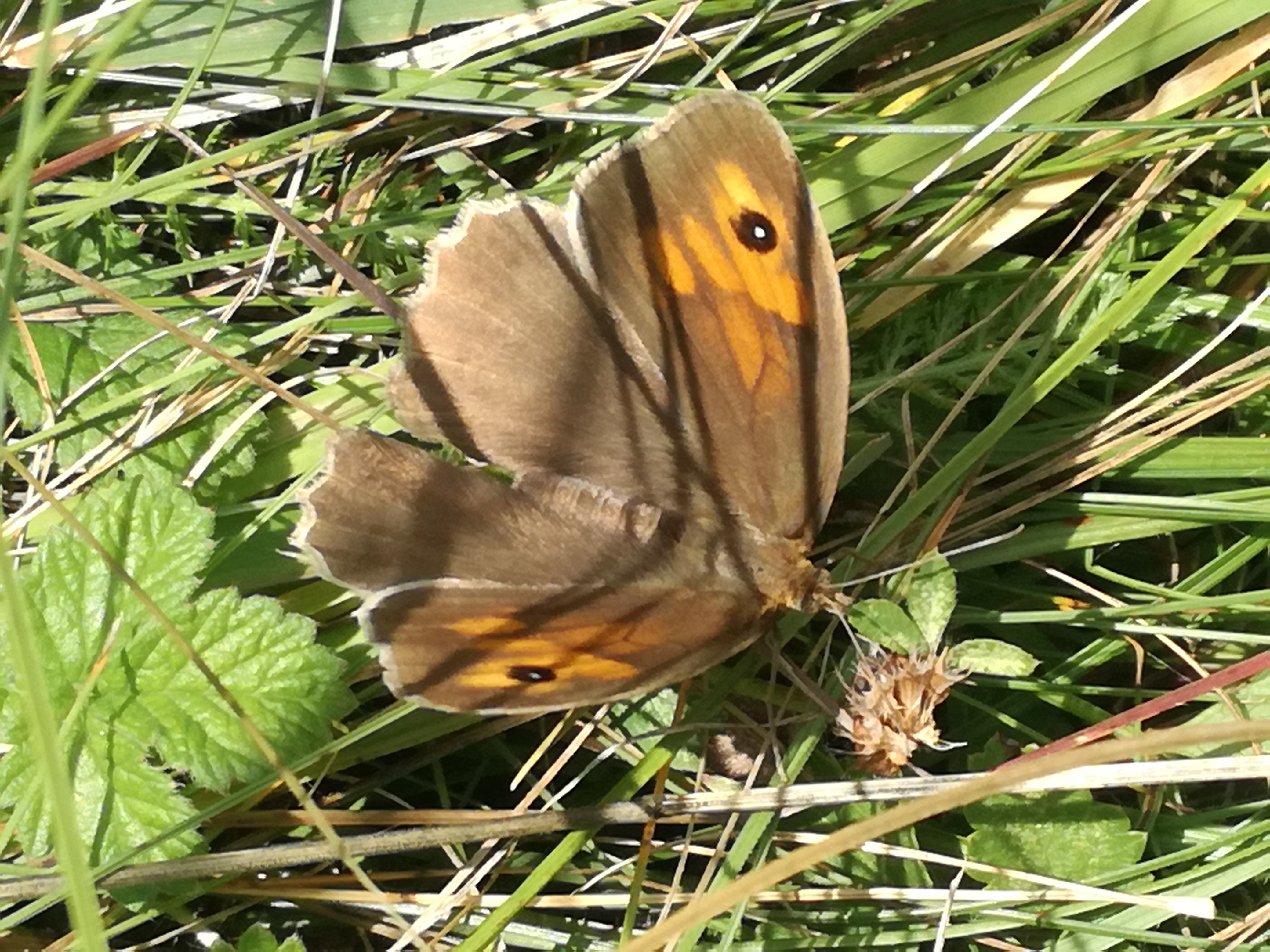 24062018002930 3766 art 846 img 20180623 094220