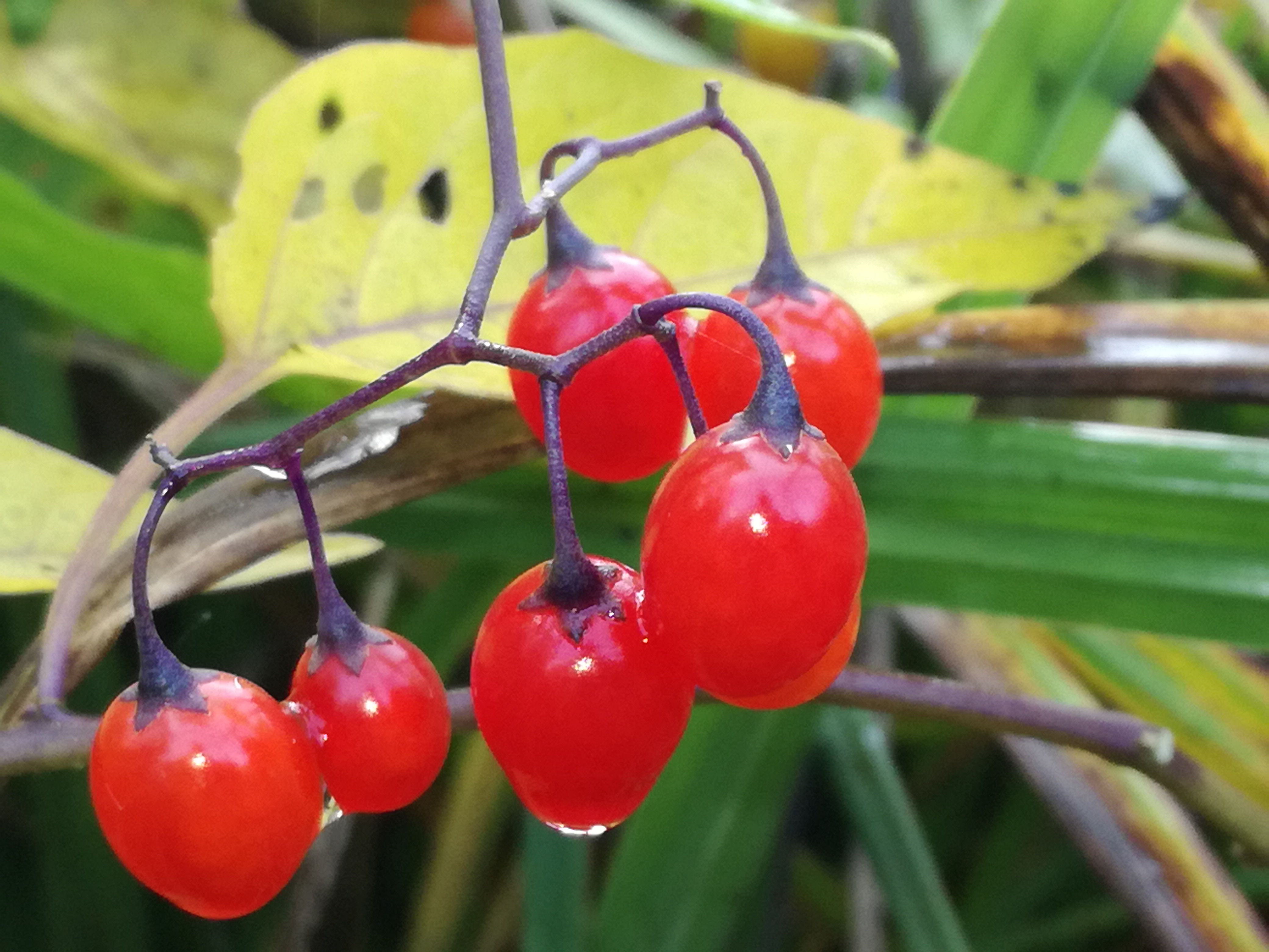 24102017001201 3152 art 1039 img 20171013 142053