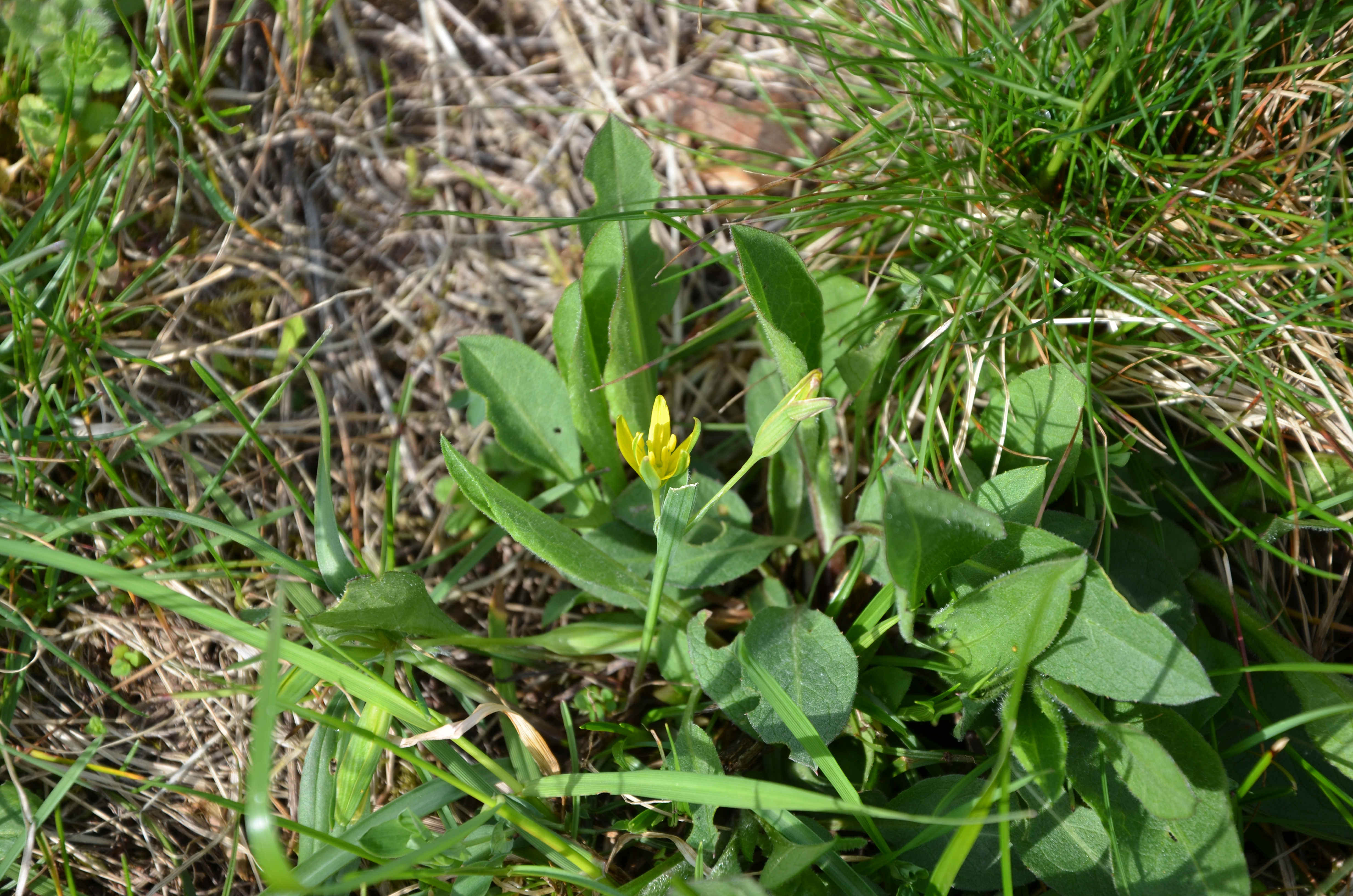 25032014122513 2268 art 1441 dsc 2863