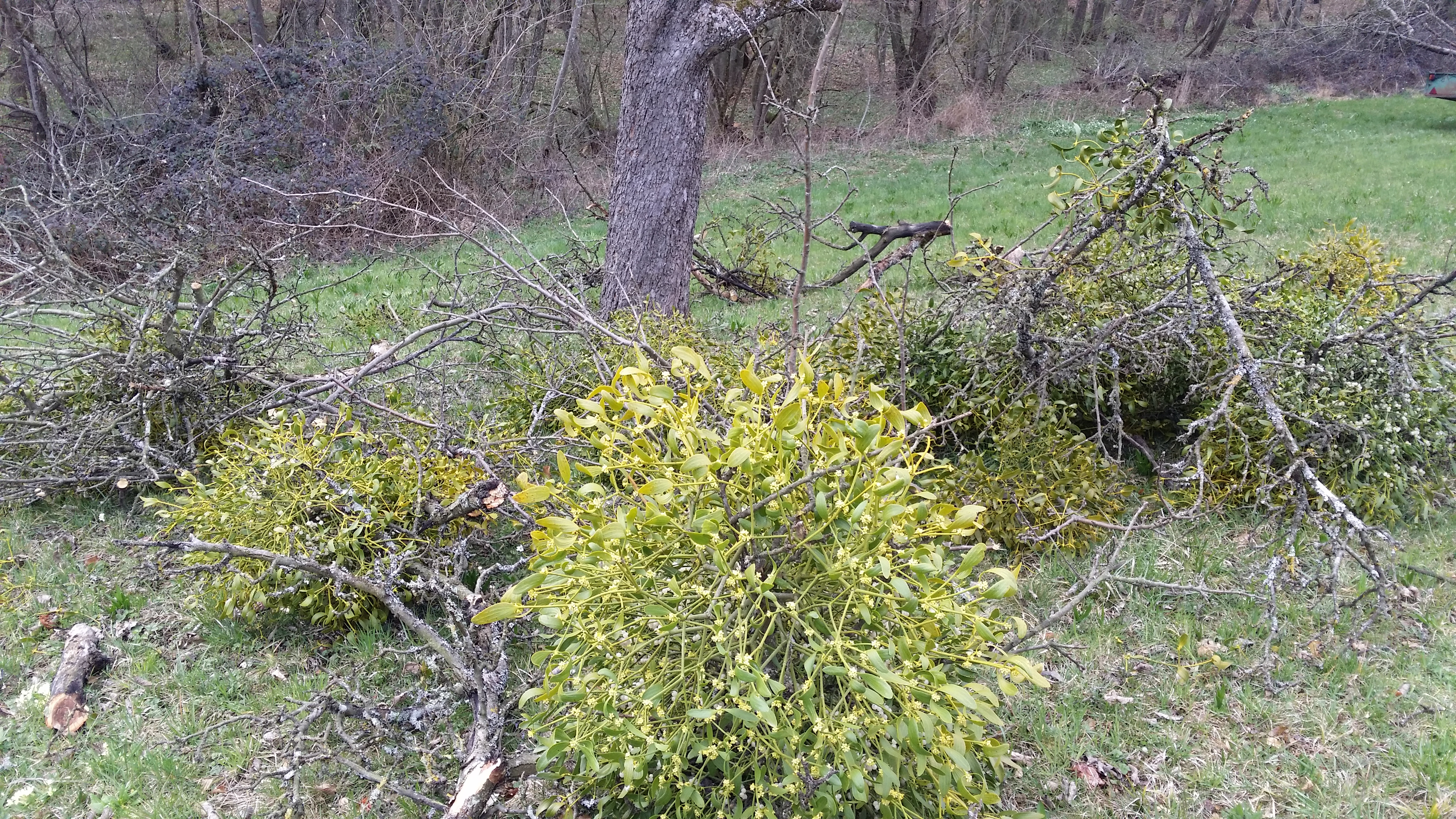 25032016204536 2801 art 888 20160322 151940