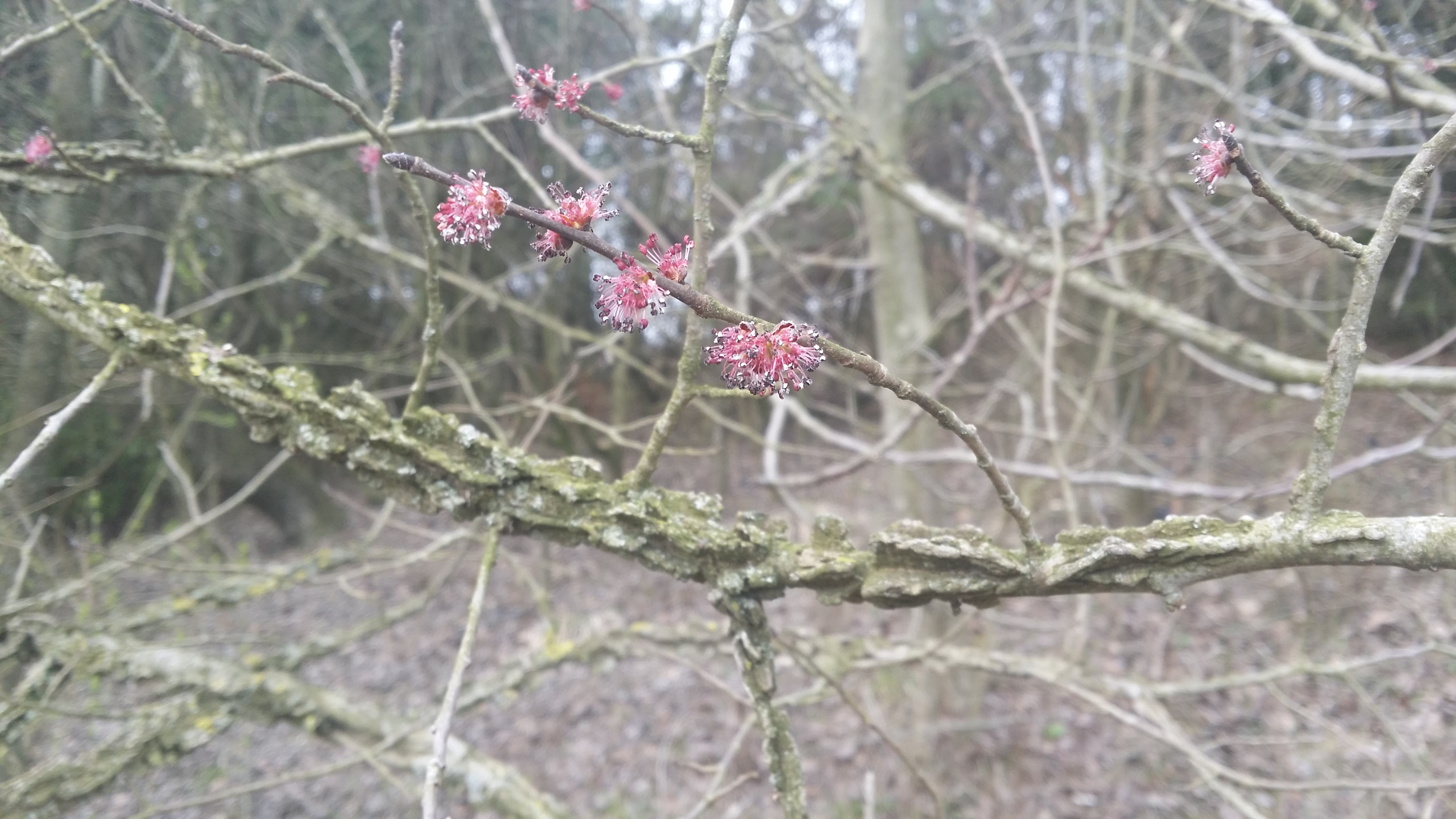 25032016205439 2802 art 1746 20160321 100145