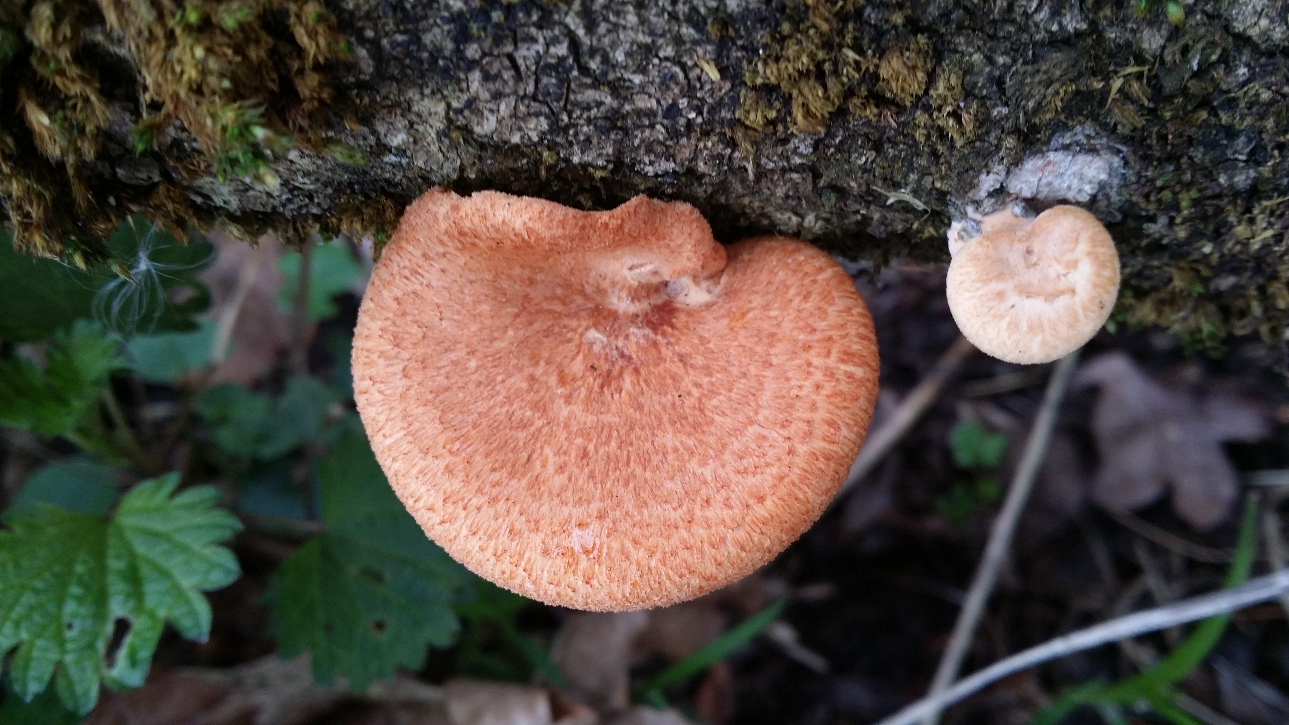 25032016205901 2803 art 1031 20160324 141044