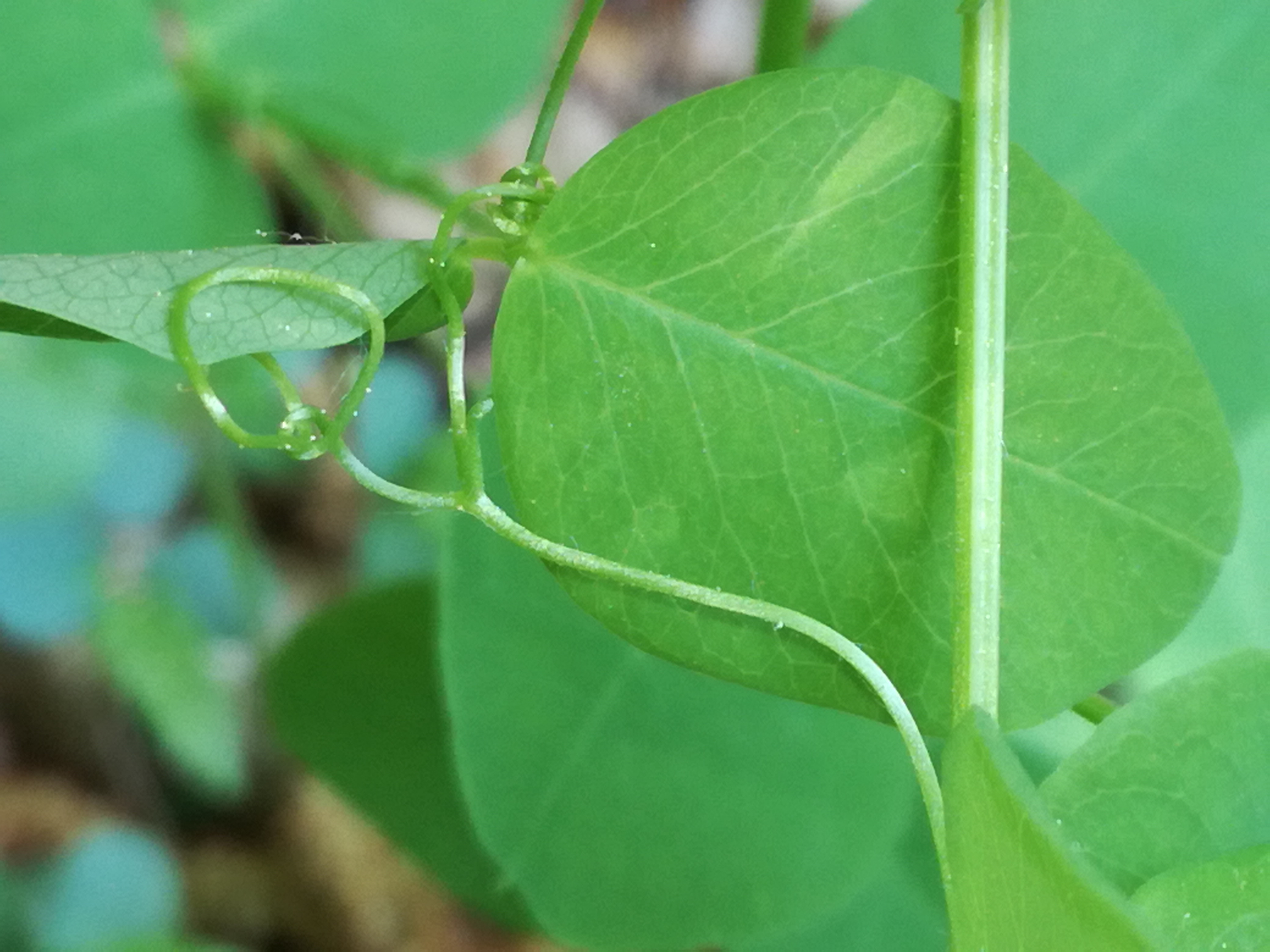 25042018202137 3541 art 2124 img 20180424 143500