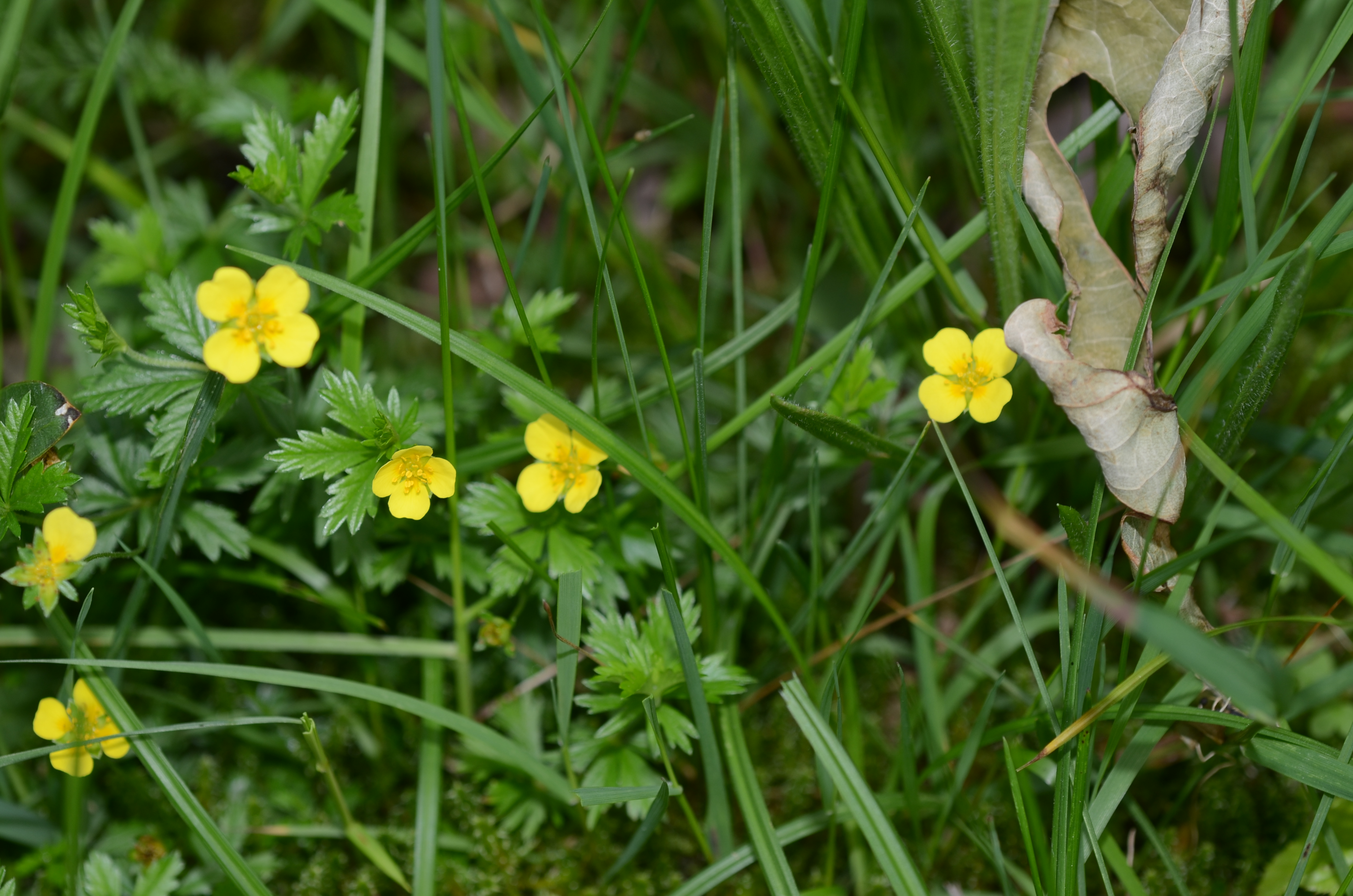 25052014152254 2362 art 1073 dsc 4869