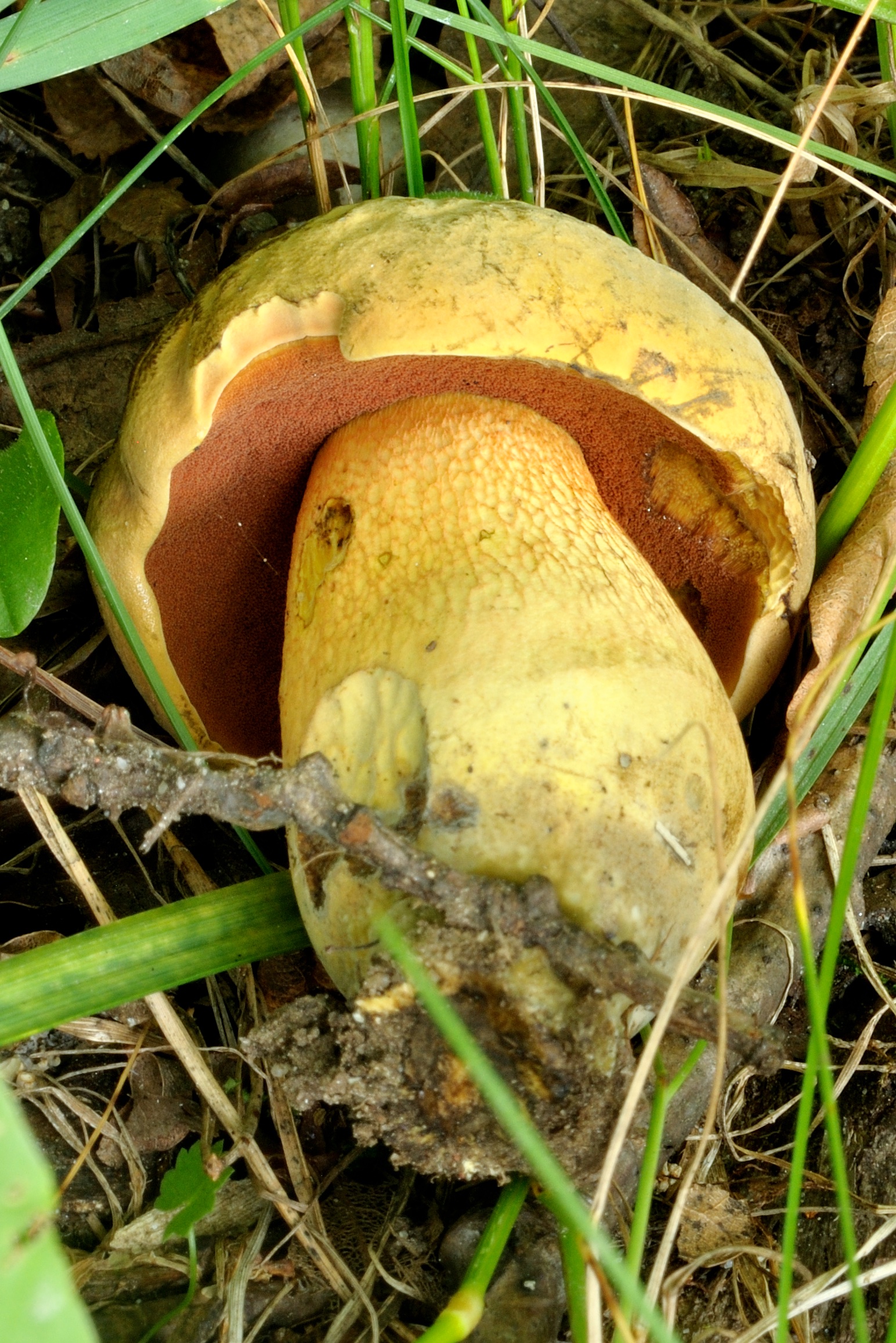 25052018111912 3676 art 2218 2009 07 14 herbersteinklamm 088