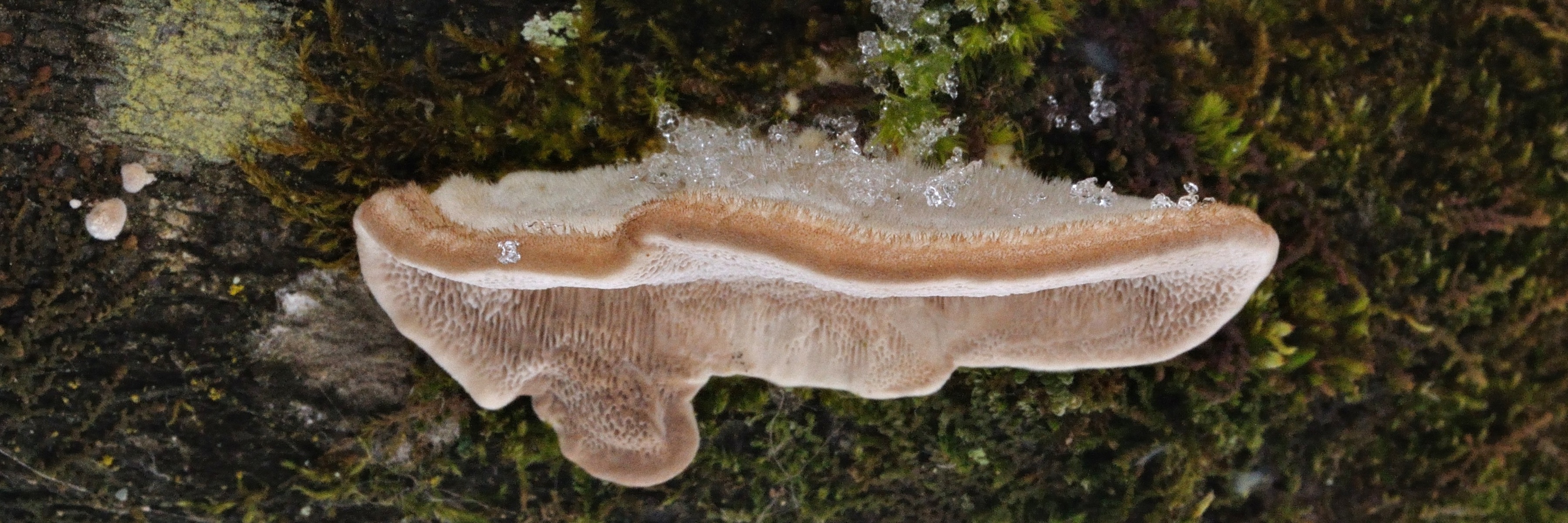 25052018113232 3680 art 2220