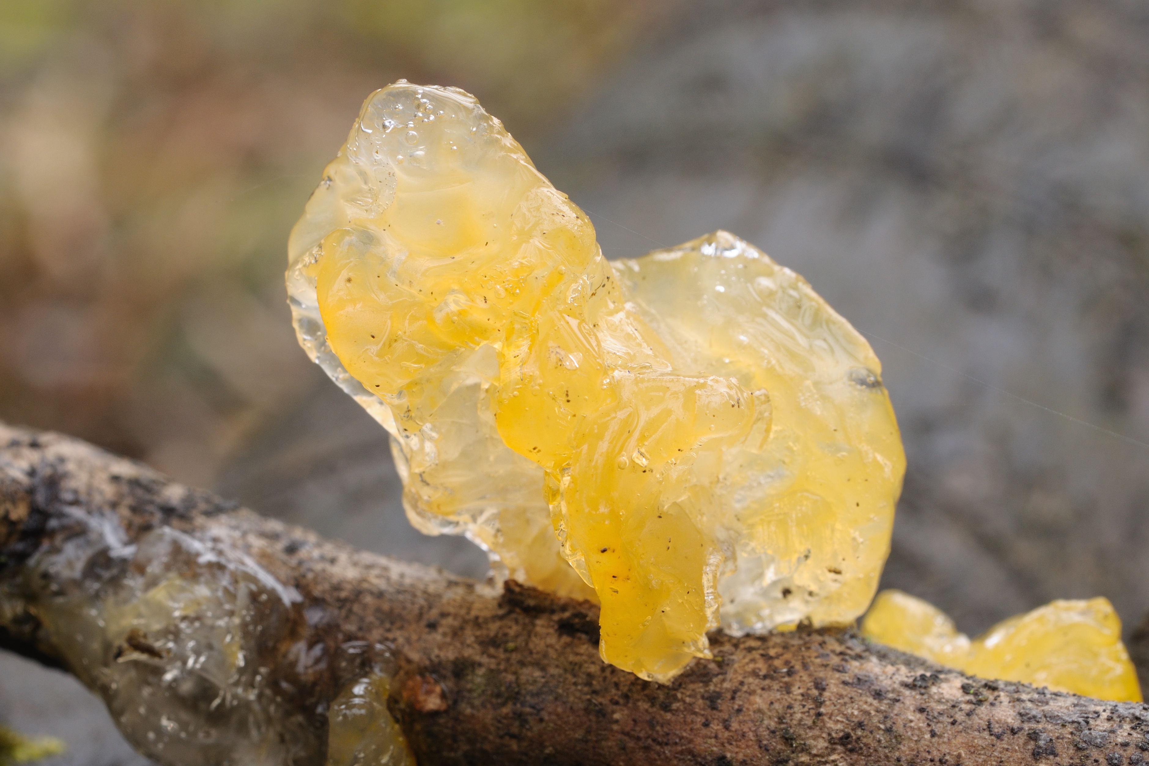 25052018113904 3681 art 2221 2009 12 20 fernitz 026