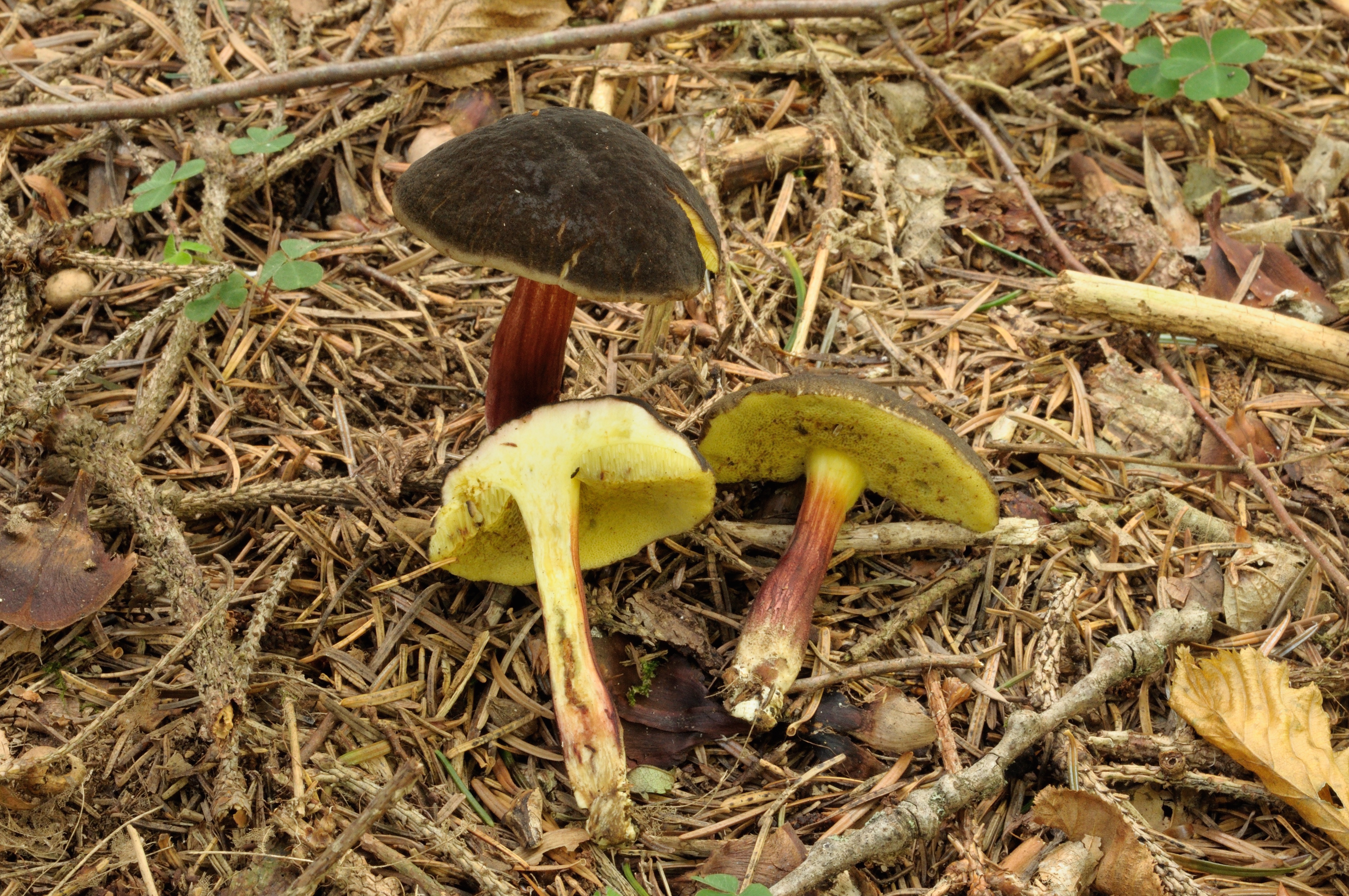 25052018114725 3684 art 2222 2011 09 12 exkursion tirol 037