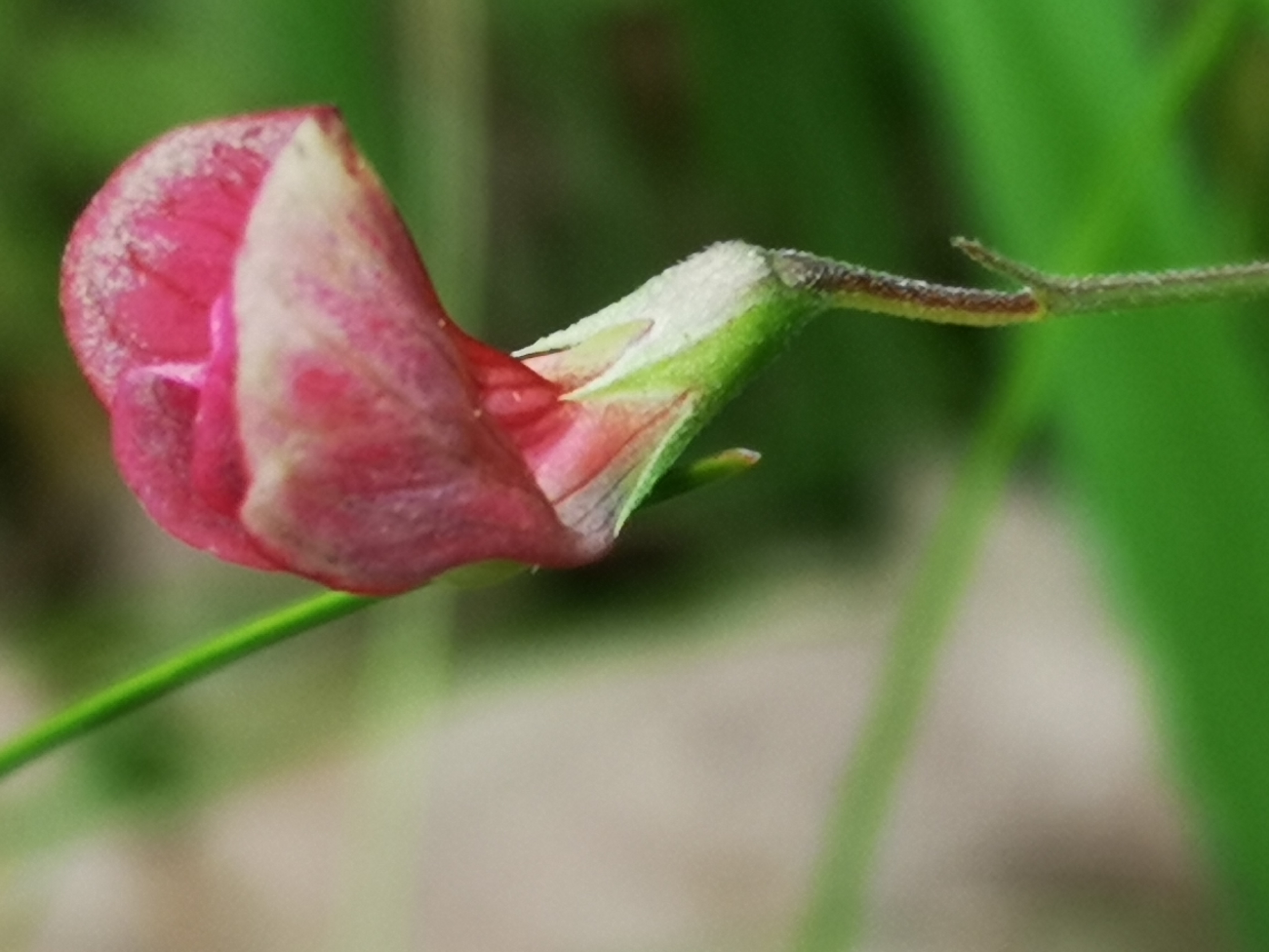 25052021074734 3992 art 2154 img 20210522 155009