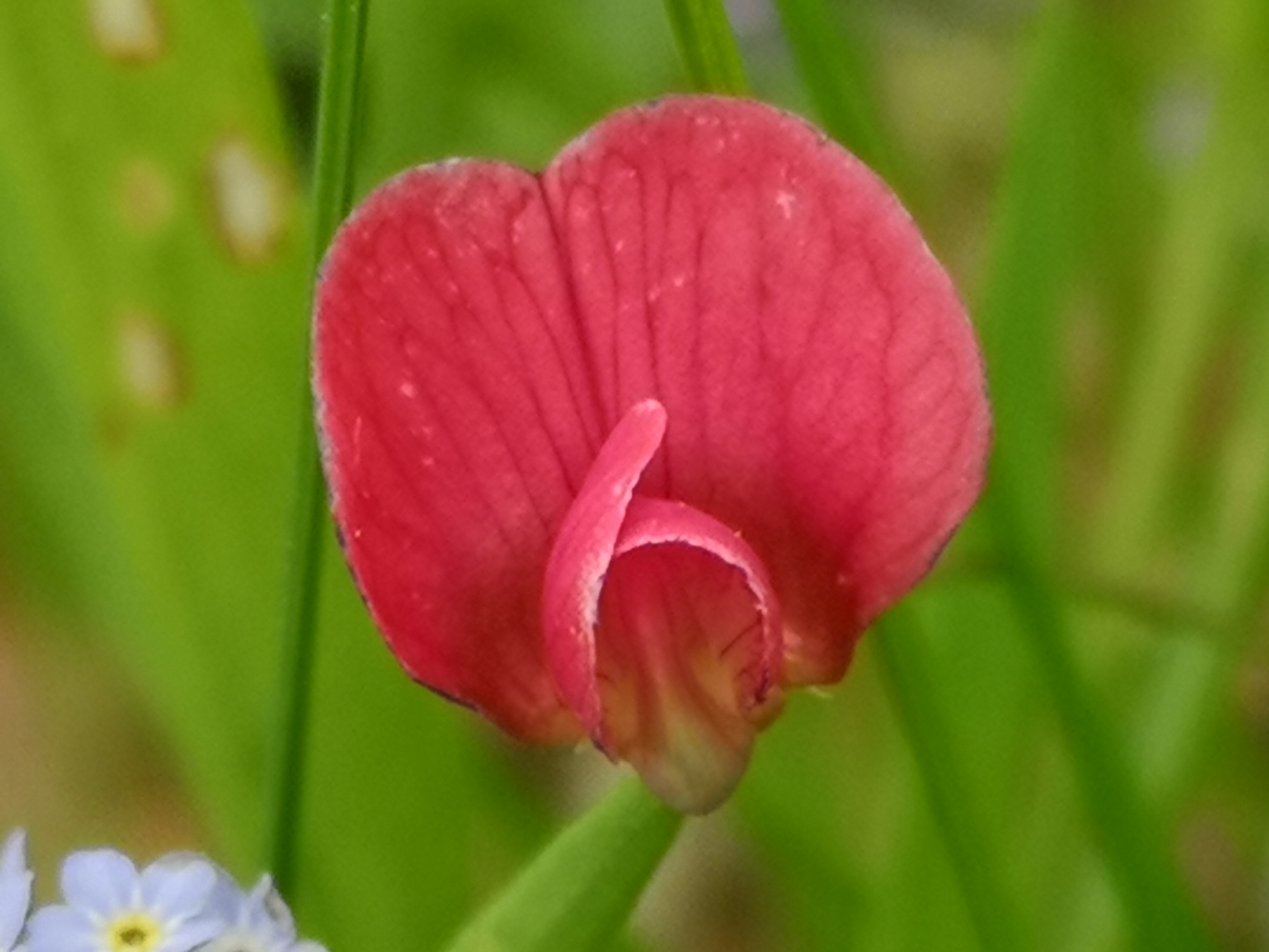 25052021074819 3993 art 2154 img 20210522 155012