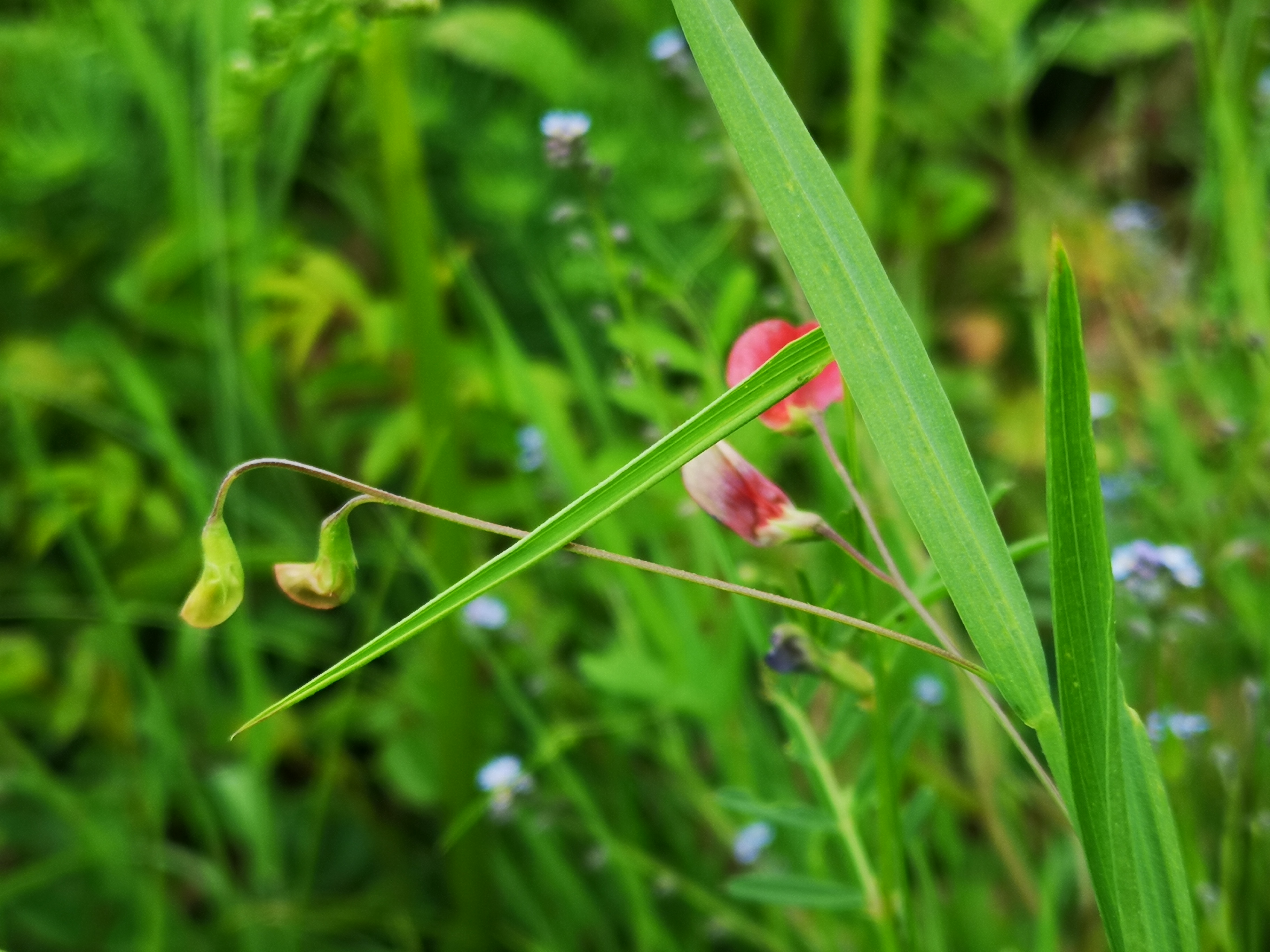 25052021074914 3994 art 2154 img 20210522 155130