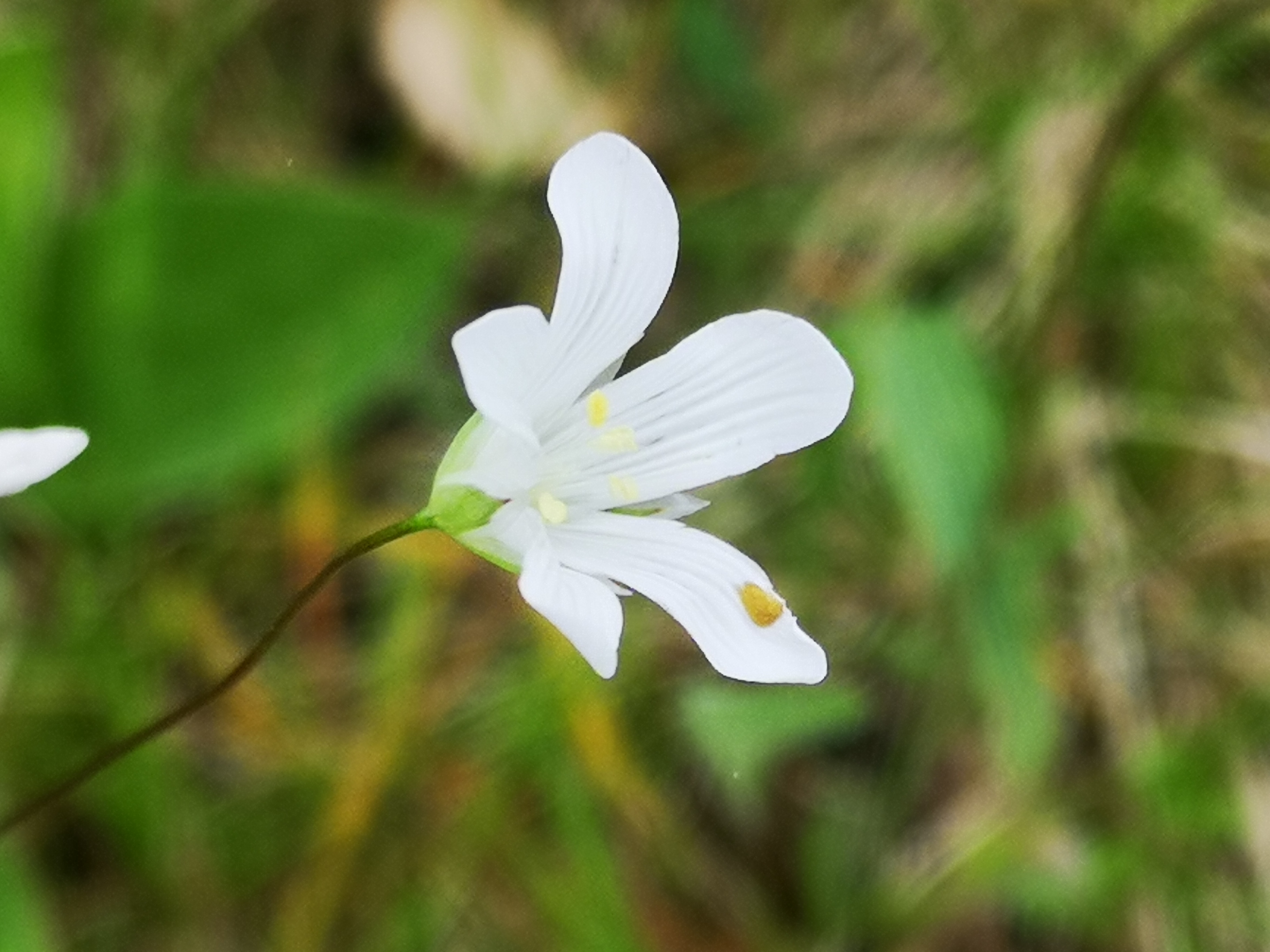 25052021075101 3995 art 2343 img 20210522 155456