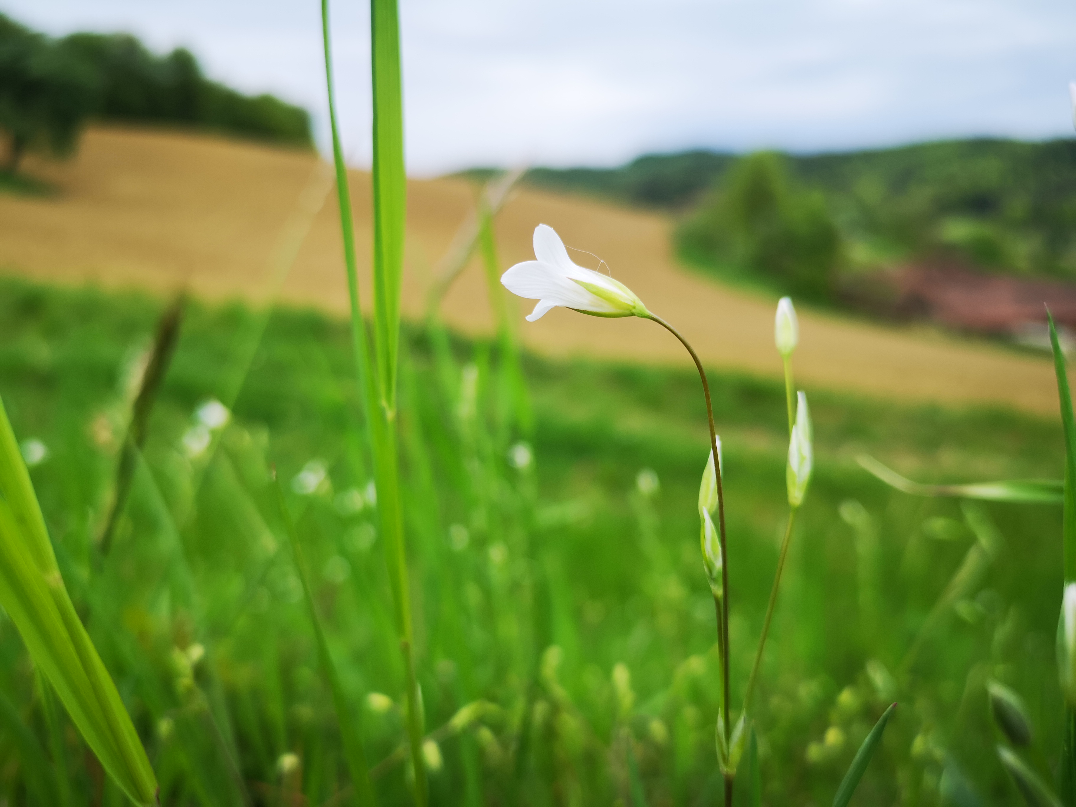 25052021075147 3996 art 2343 img 20210502 132037