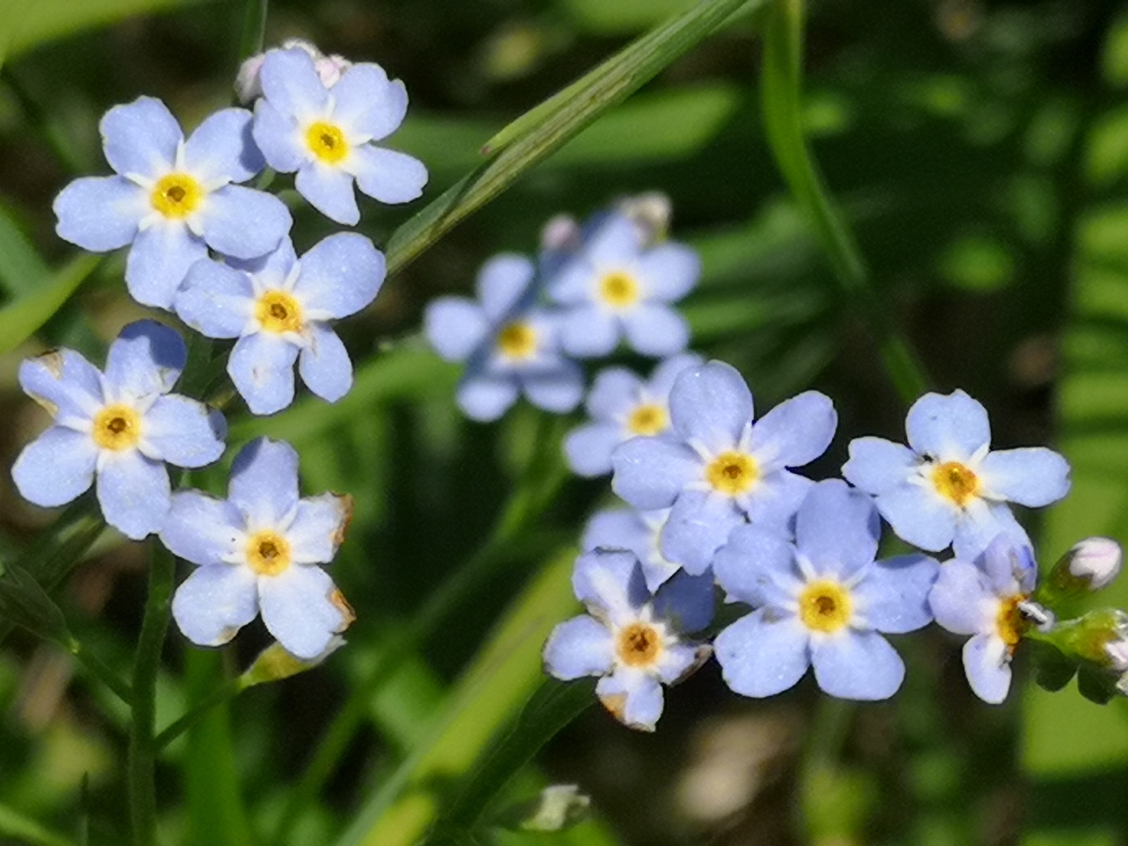 25052021085339 4005 art 331 img 20210510 140504