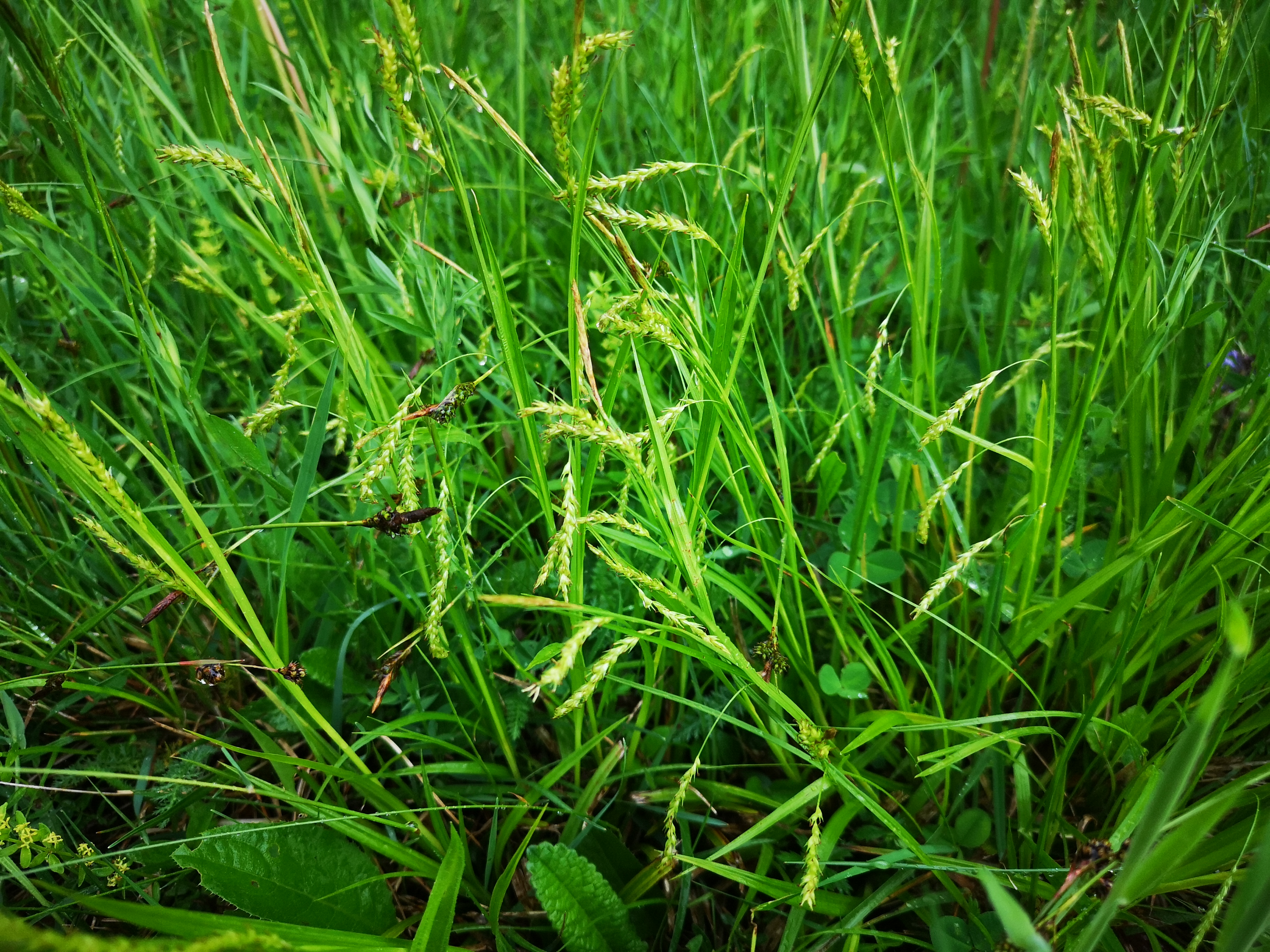 25052021085641 4006 art 1498 img 20210519 162427