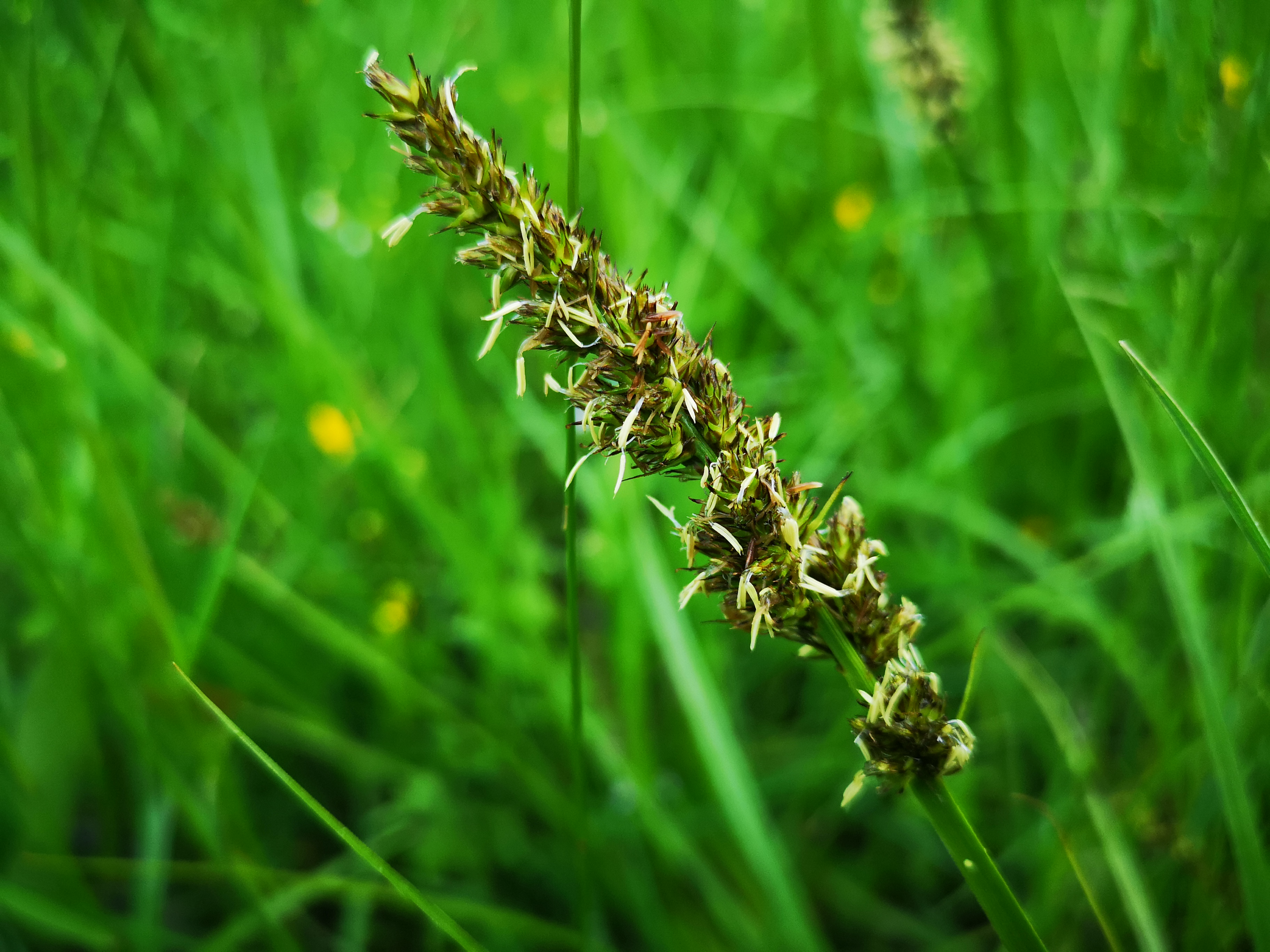 25052021085754 4007 art 2107 img 20210519 163732