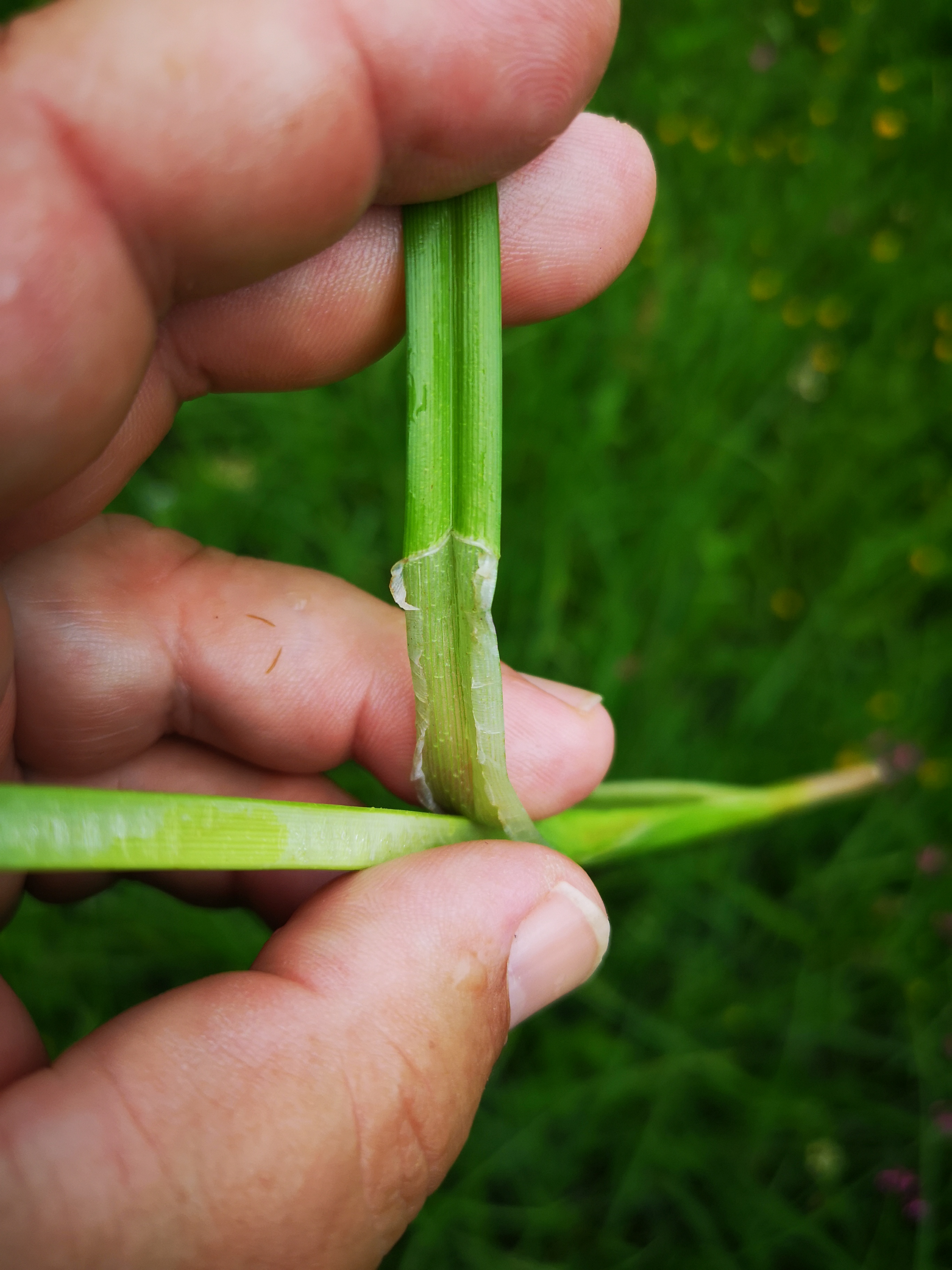 25052021085837 4008 art 2107 img 20210519 163758