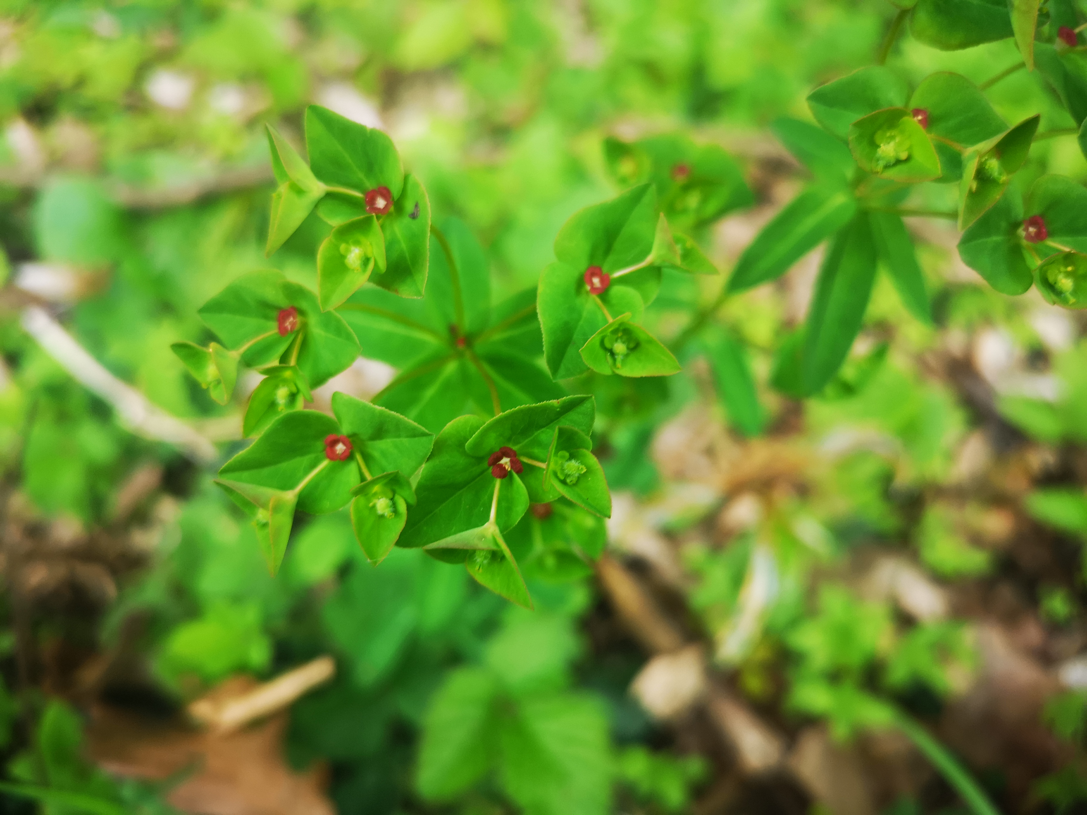 25052021091238 4012 art 2121 img 20210426 150336