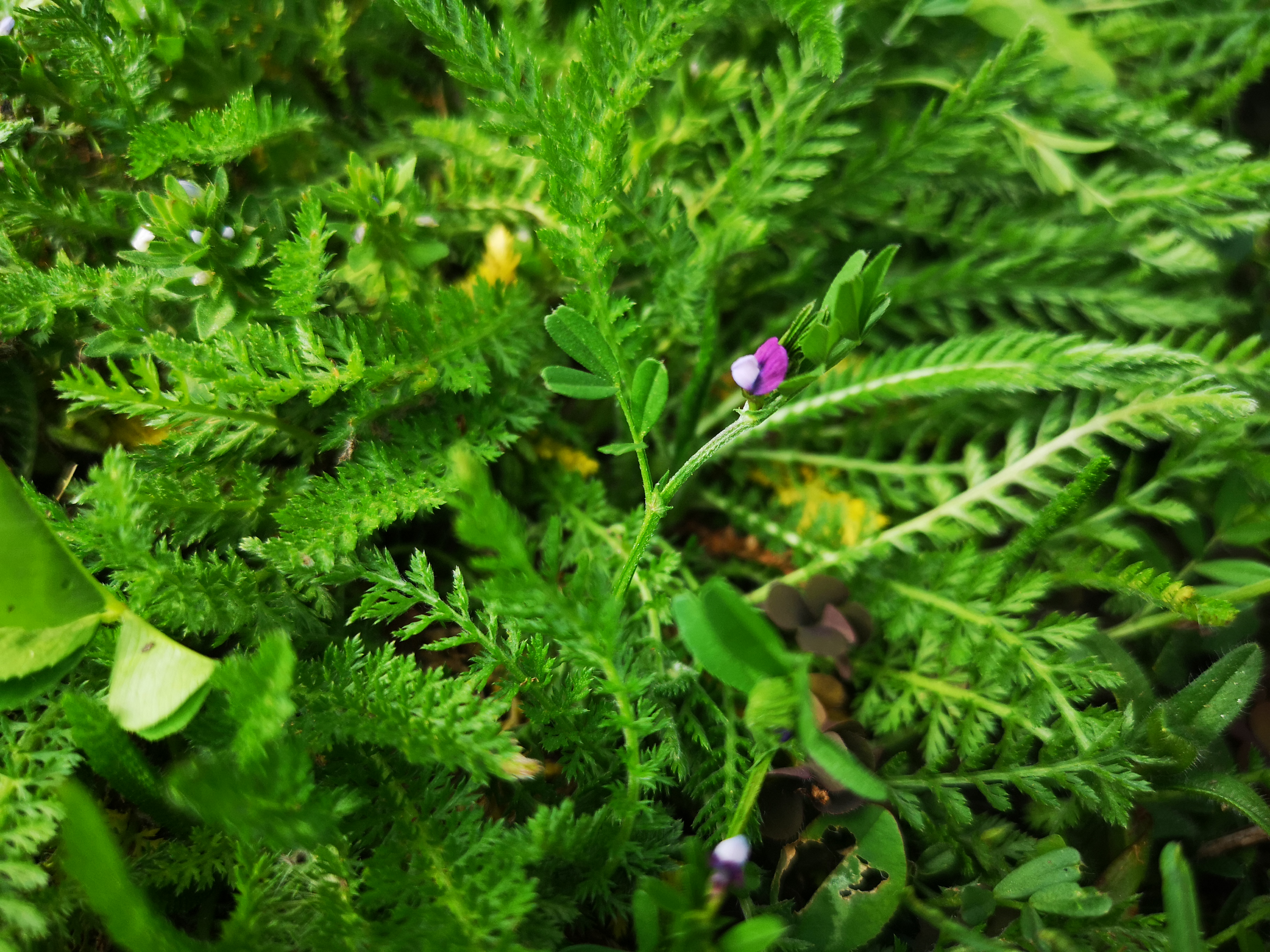 25052021091539 4014 art 2123 img 20210430 162712