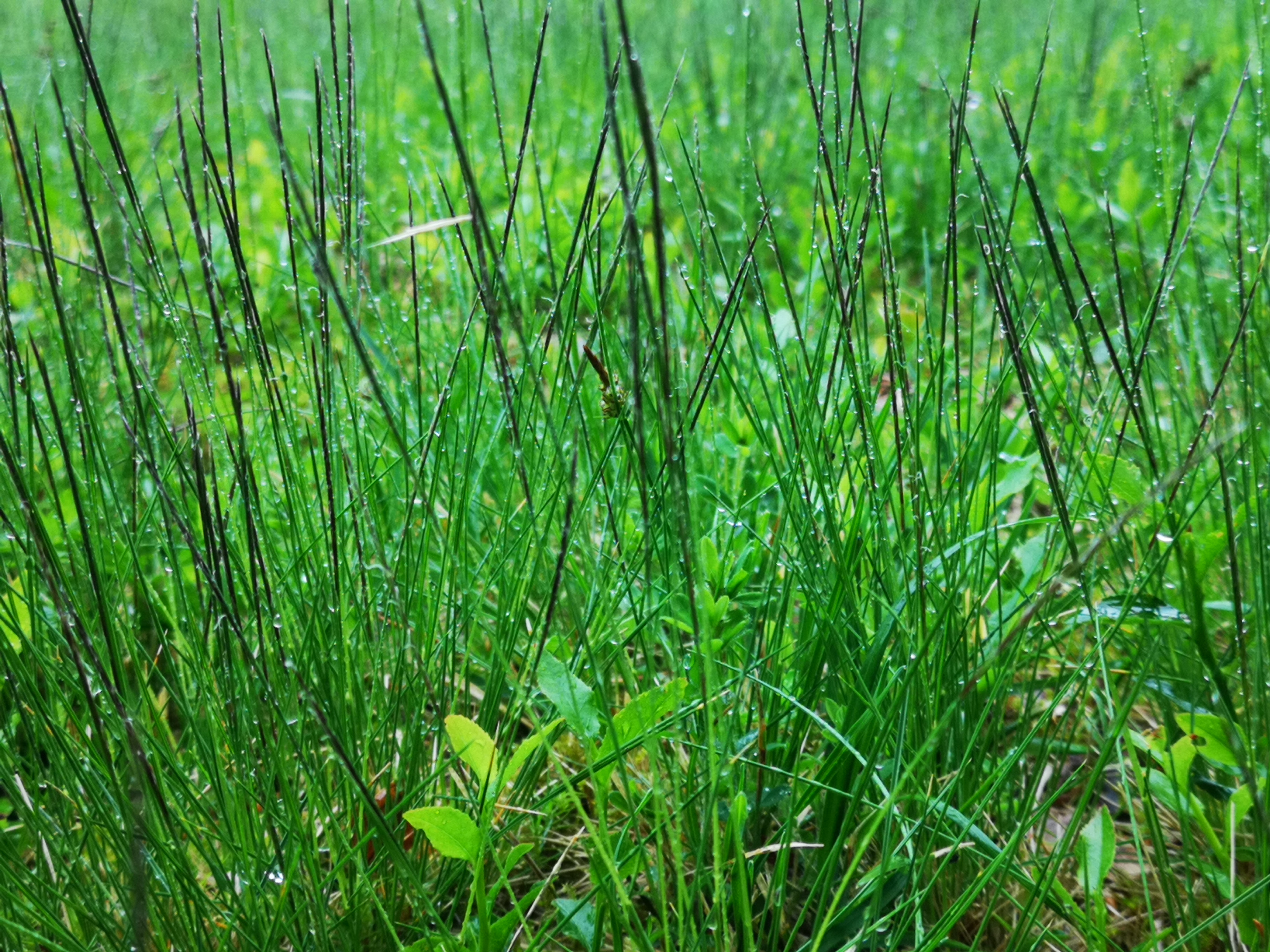 25052021094030 4021 art 1072 img 20210524 114114