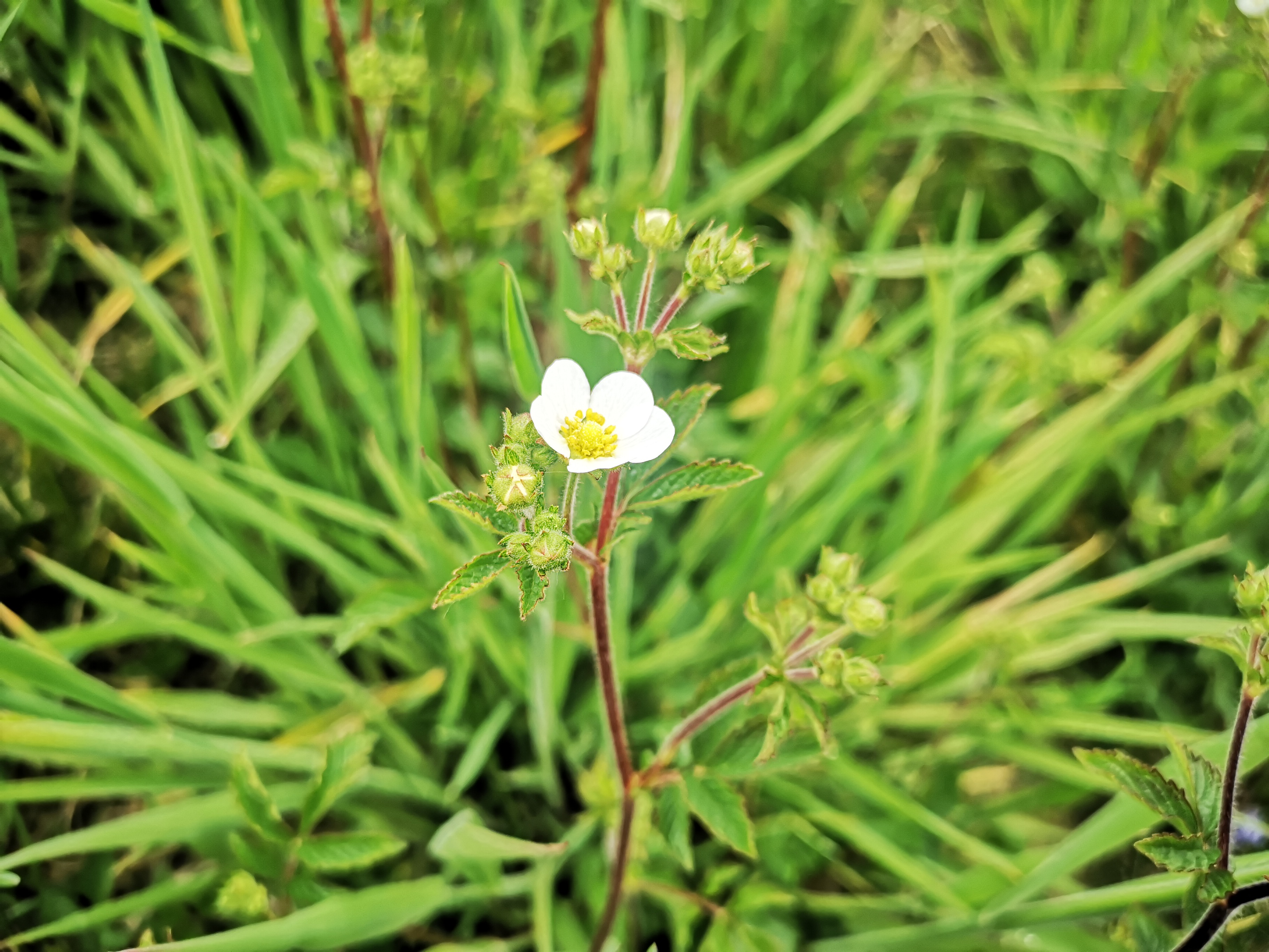 25052021103805 4028 art 545 img 20210428 131740