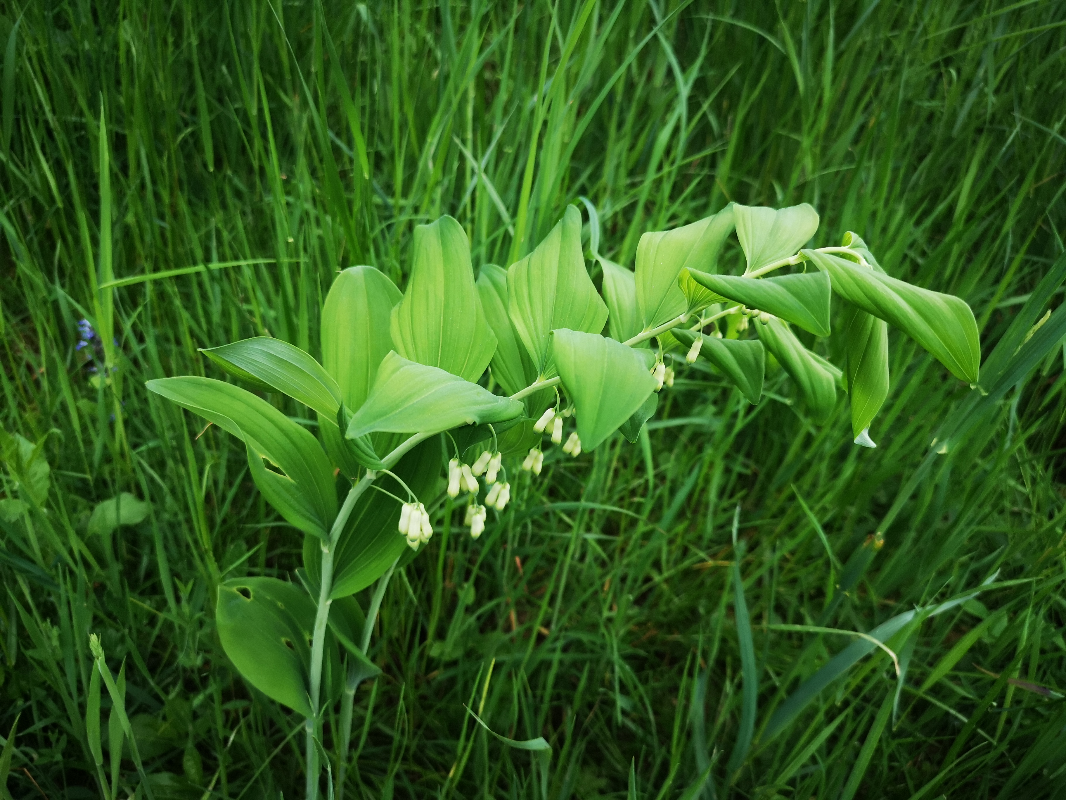 25052021104638 4029 art 1747 img 20210514 140337