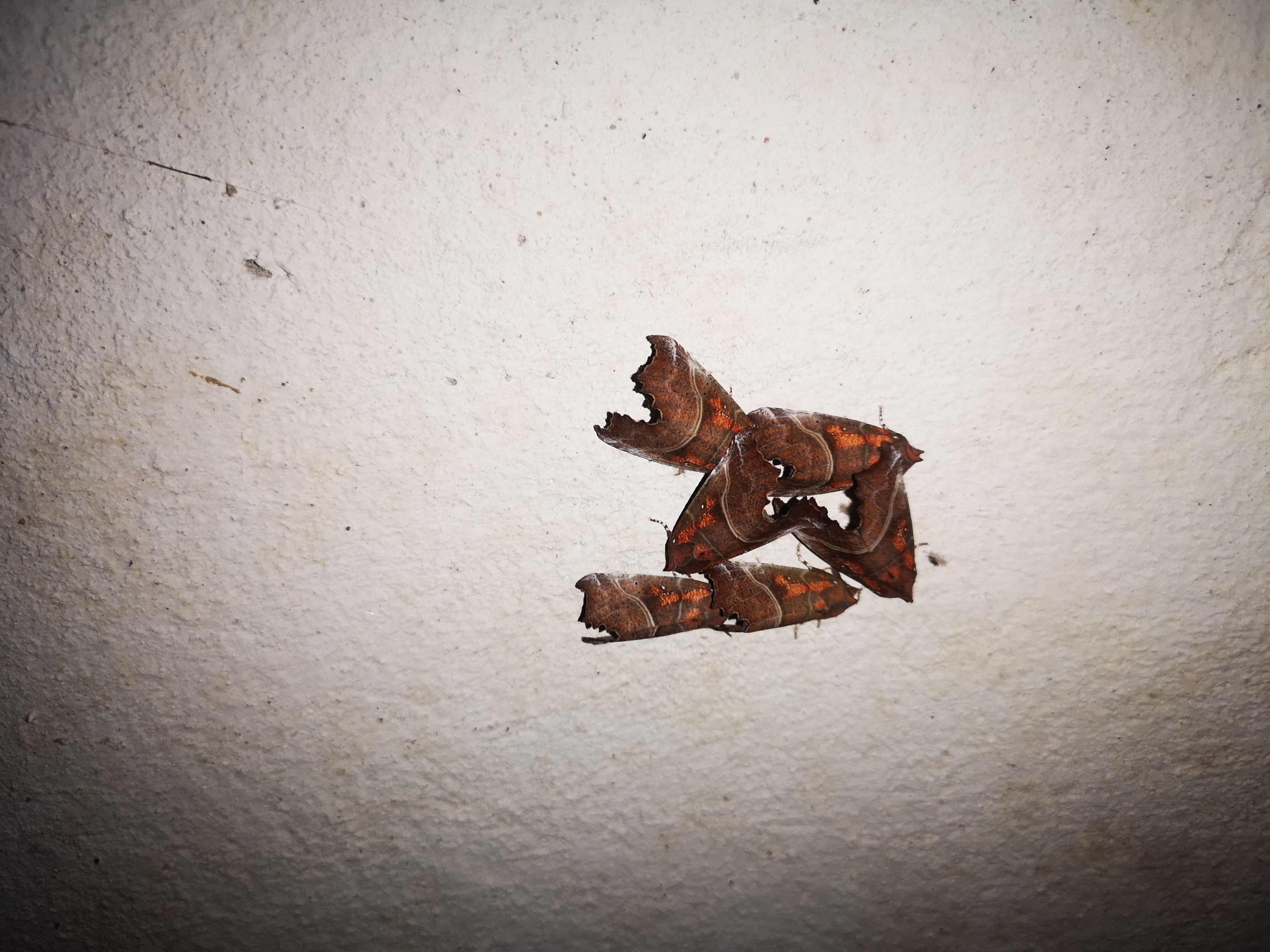 25052021105845 4033 art 534 img 20210315 120145