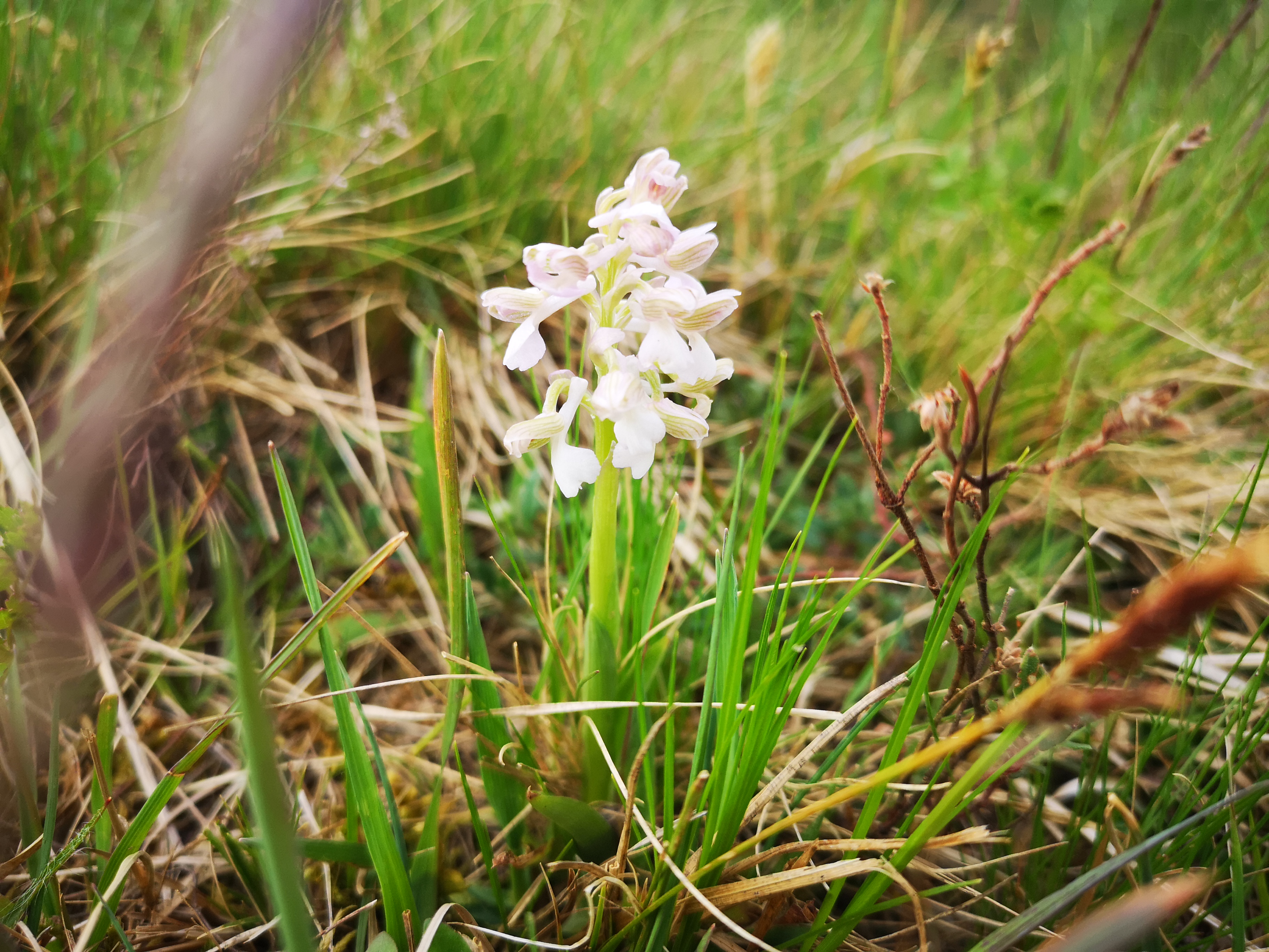 25052021111038 4035 art 537 img 20210428 170746