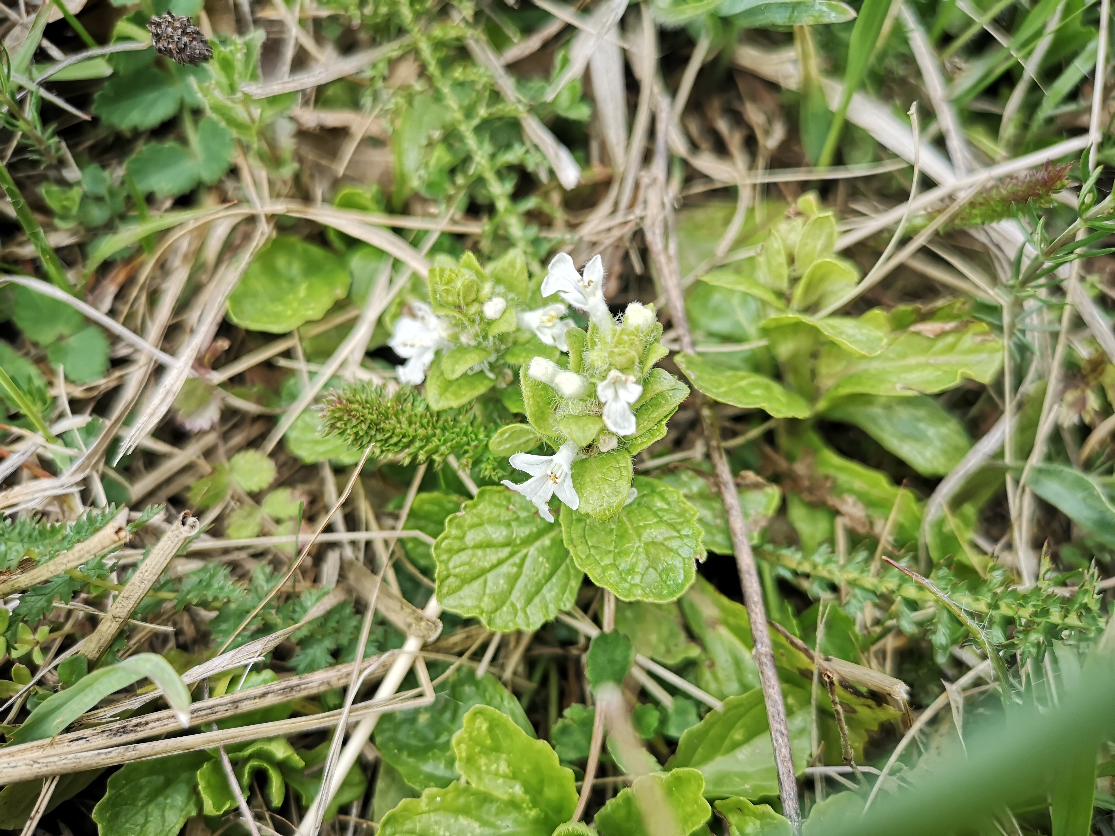 25052021111220 4036 art 1449 img 20210428 173751