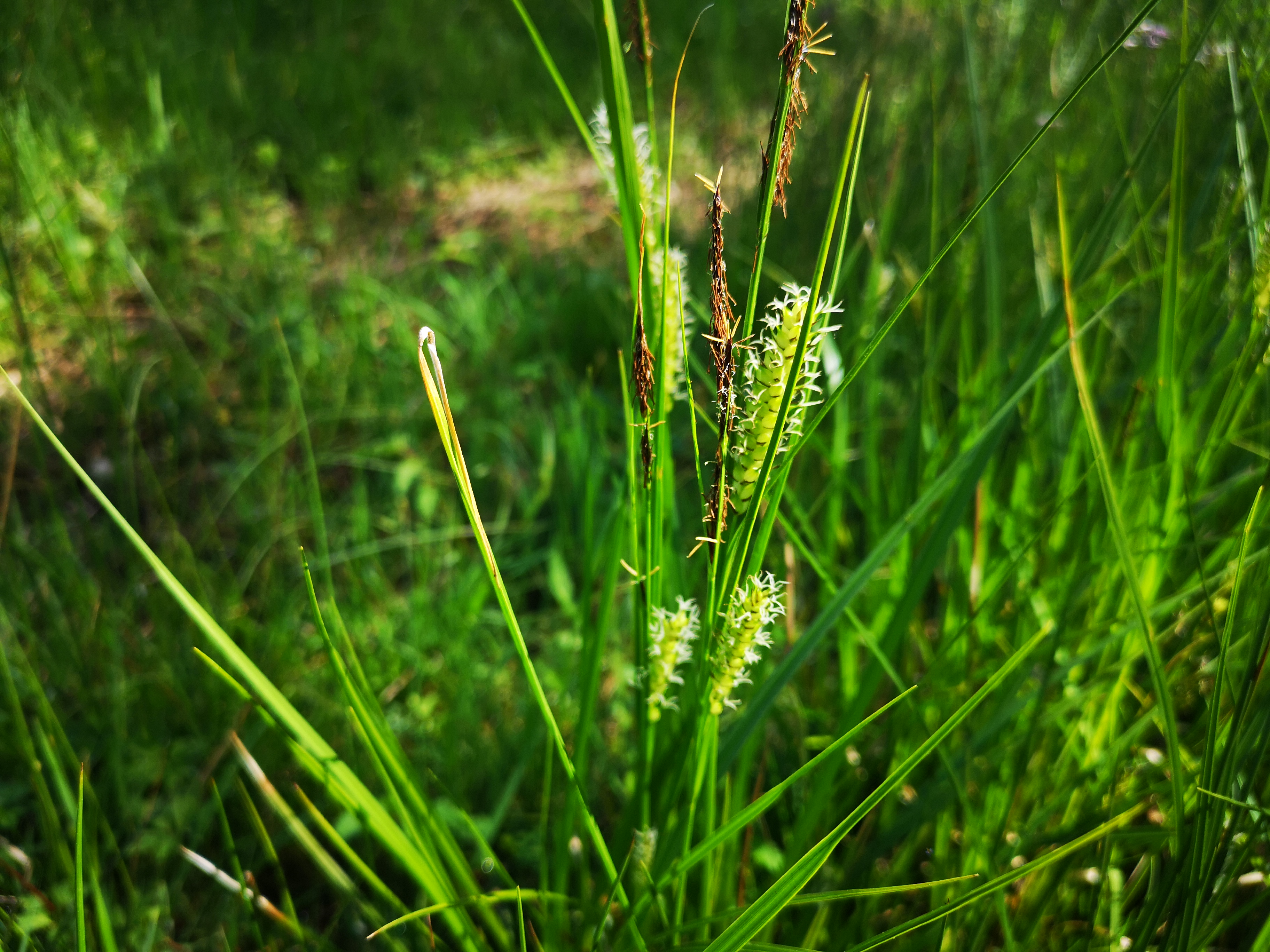 25052021114508 4043 art 367 img 20210514 103822