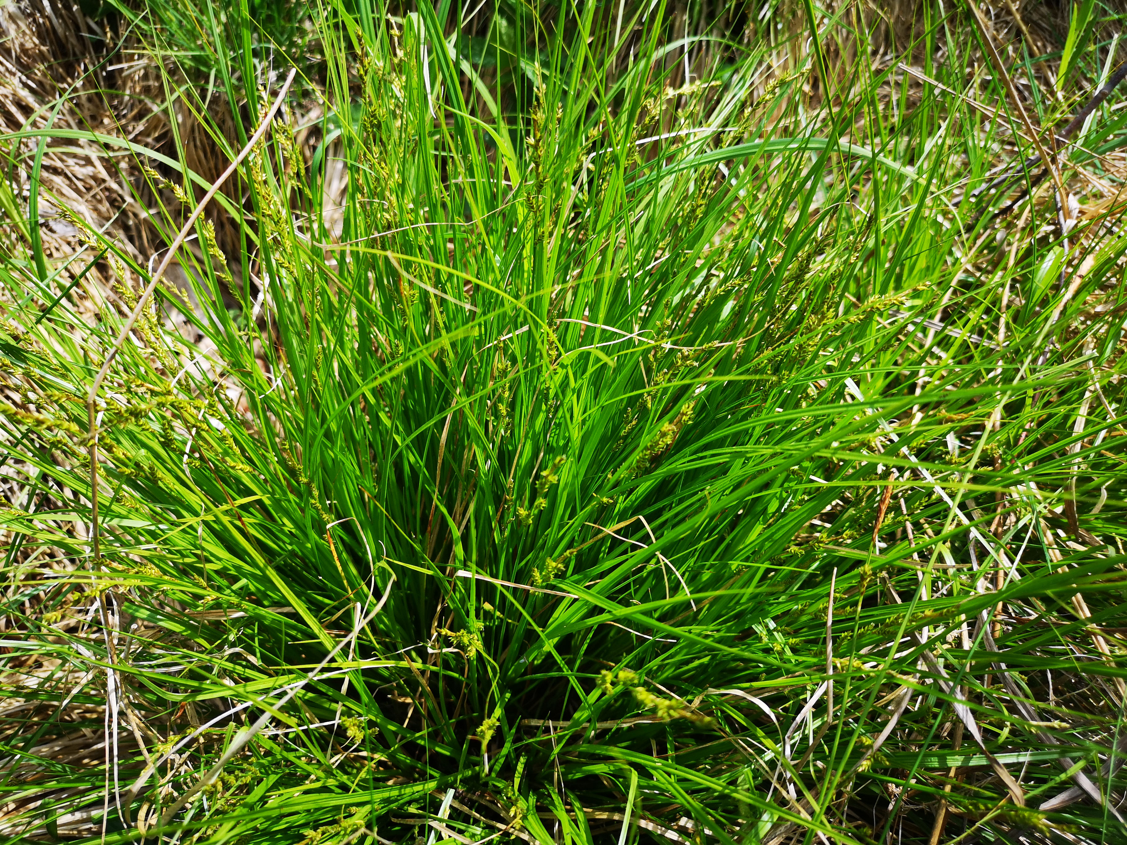 25052021114628 4044 art 227 img 20210514 105443