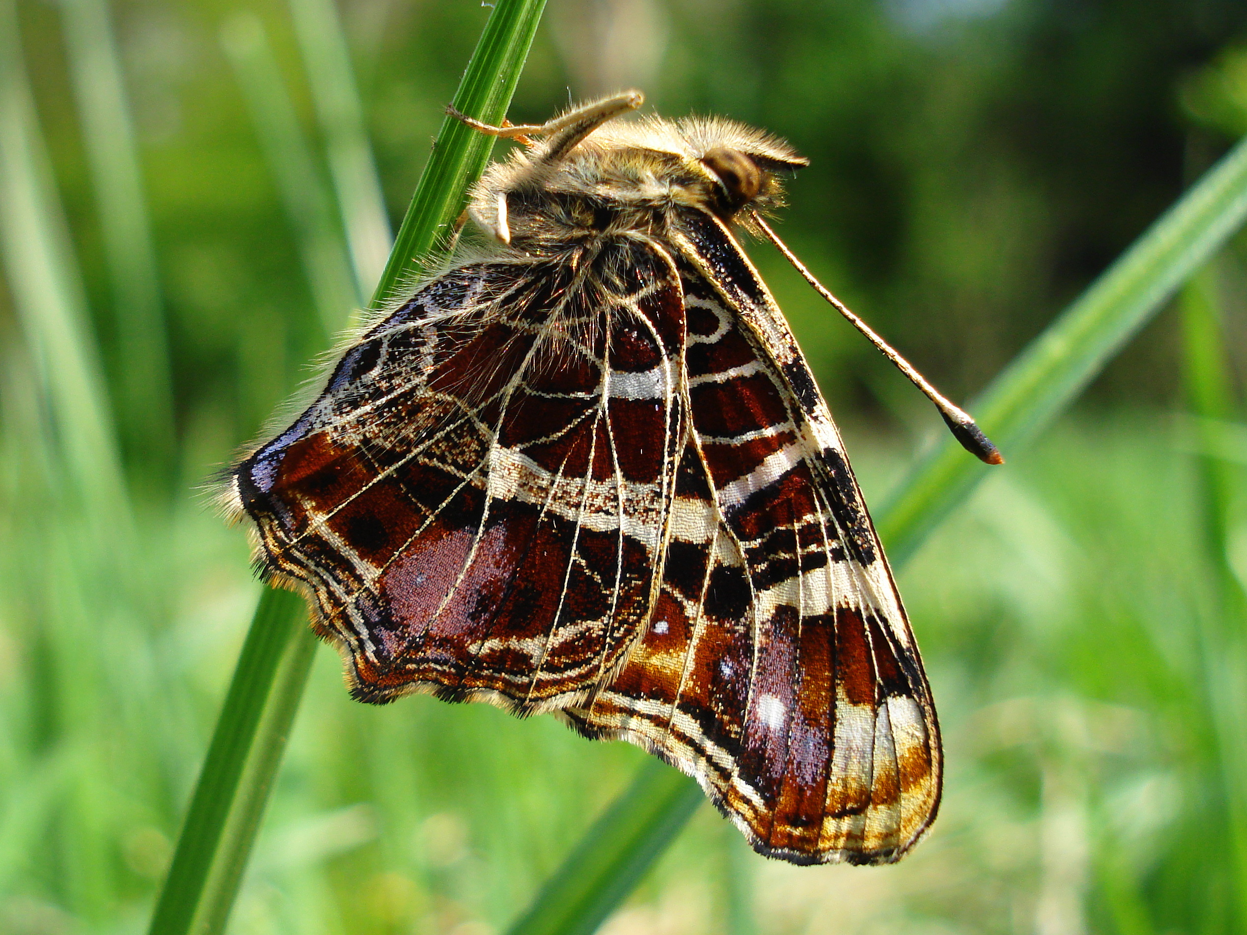 25062013191229 1036 art 825 x landkartchen27